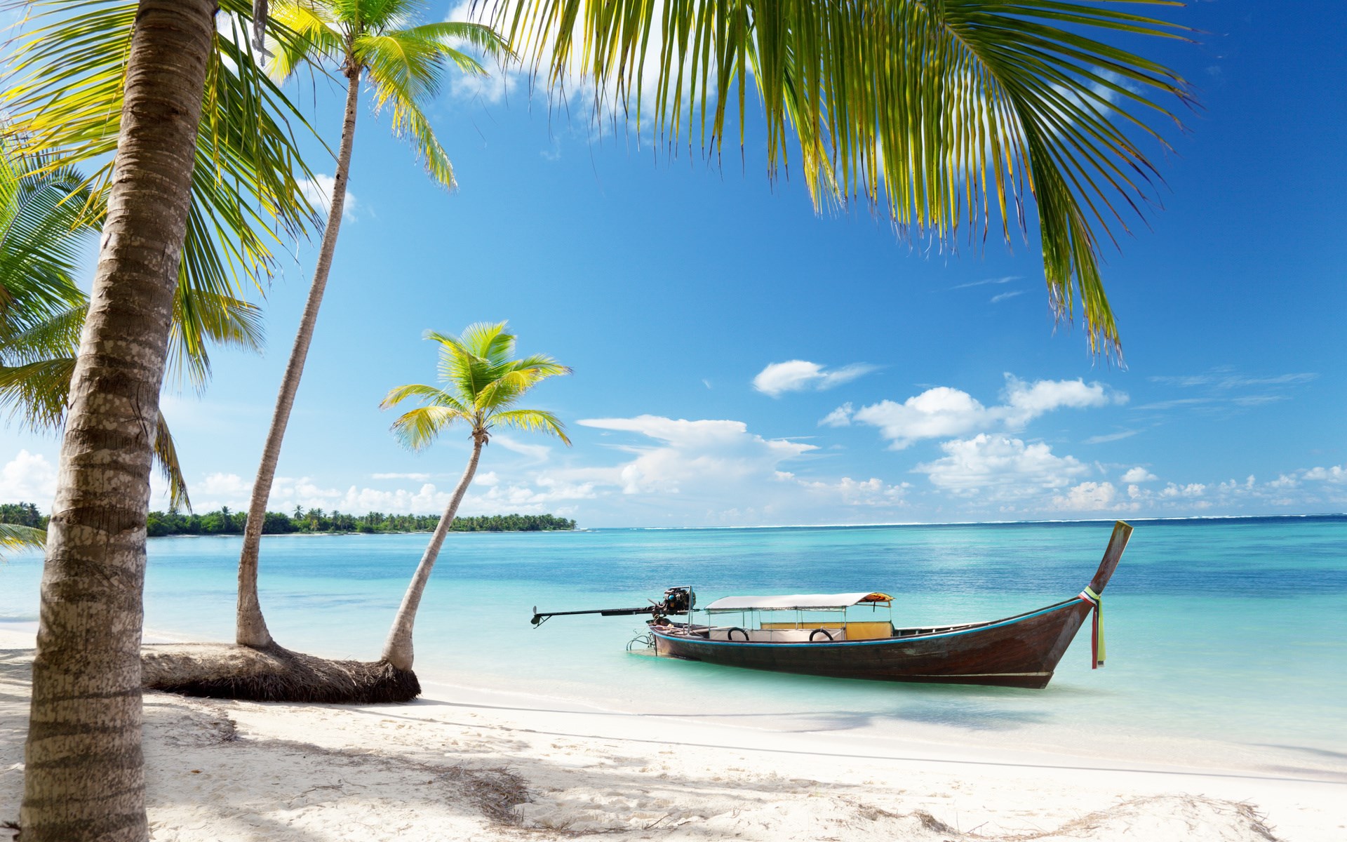 Tropical beach with palm trees and a boat HD Wallpaper