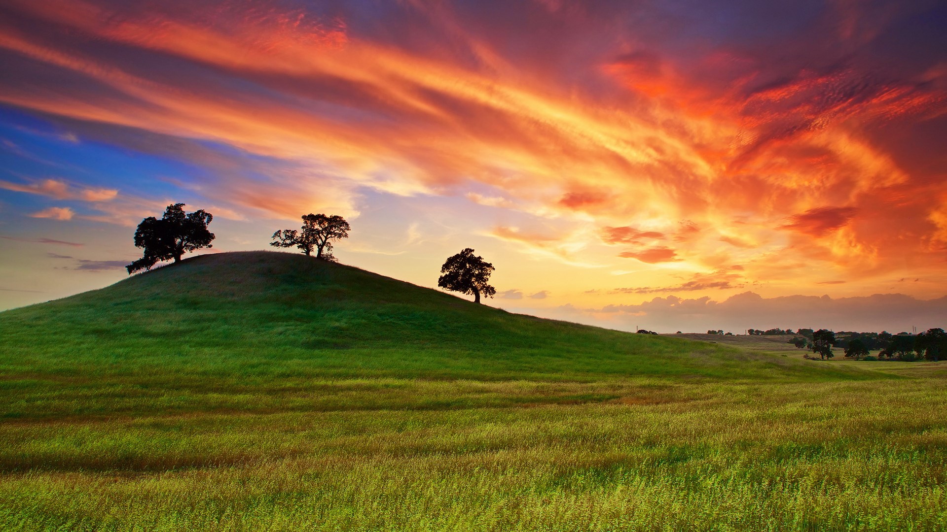 Rolling green hills with trees under a dramatic sunset sky HD Wallpaper