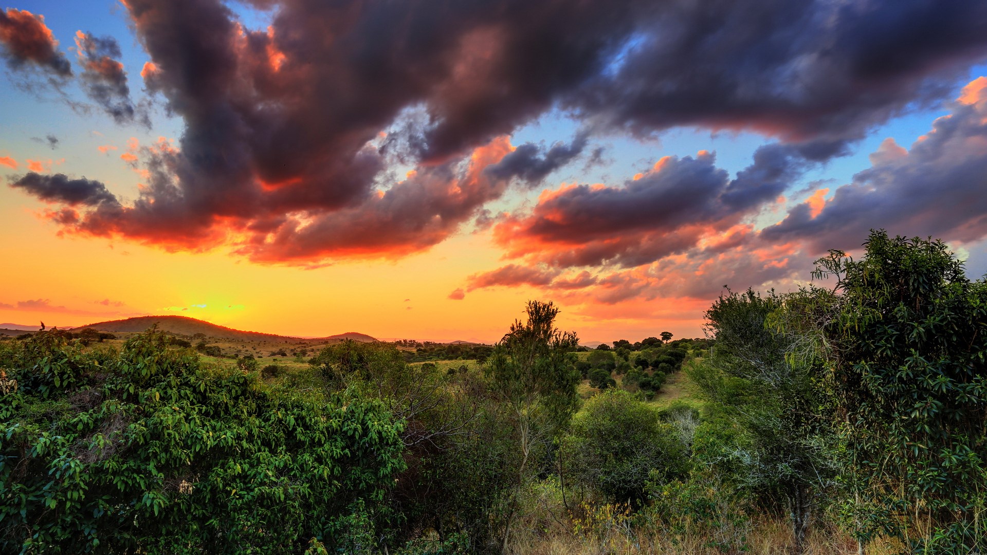 Sunset over African savanna with dramatic clouds HD Wallpaper