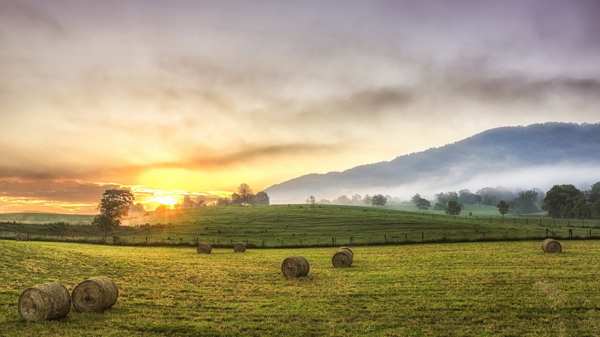 Hay bales in a misty field at sunrise HD Wallpaper