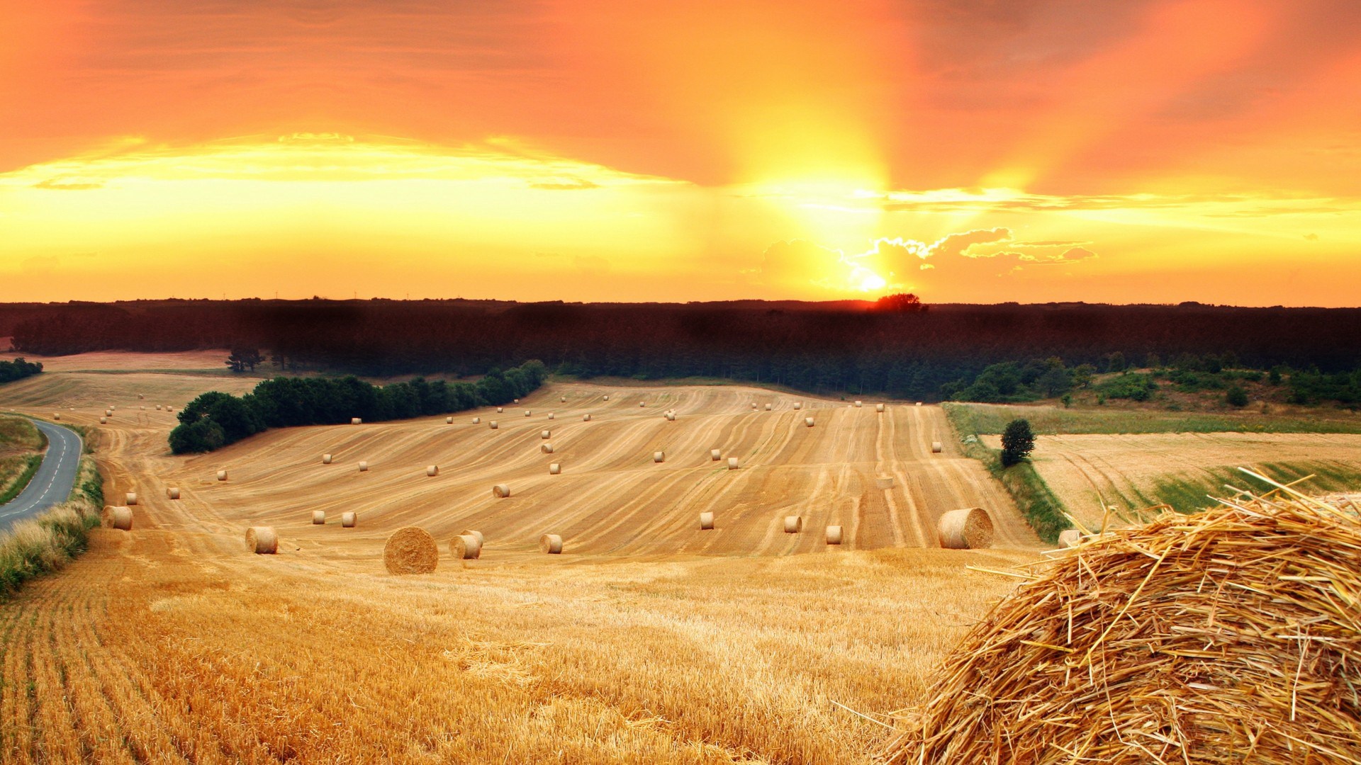 Hay bales in a field at sunset HD Wallpaper
