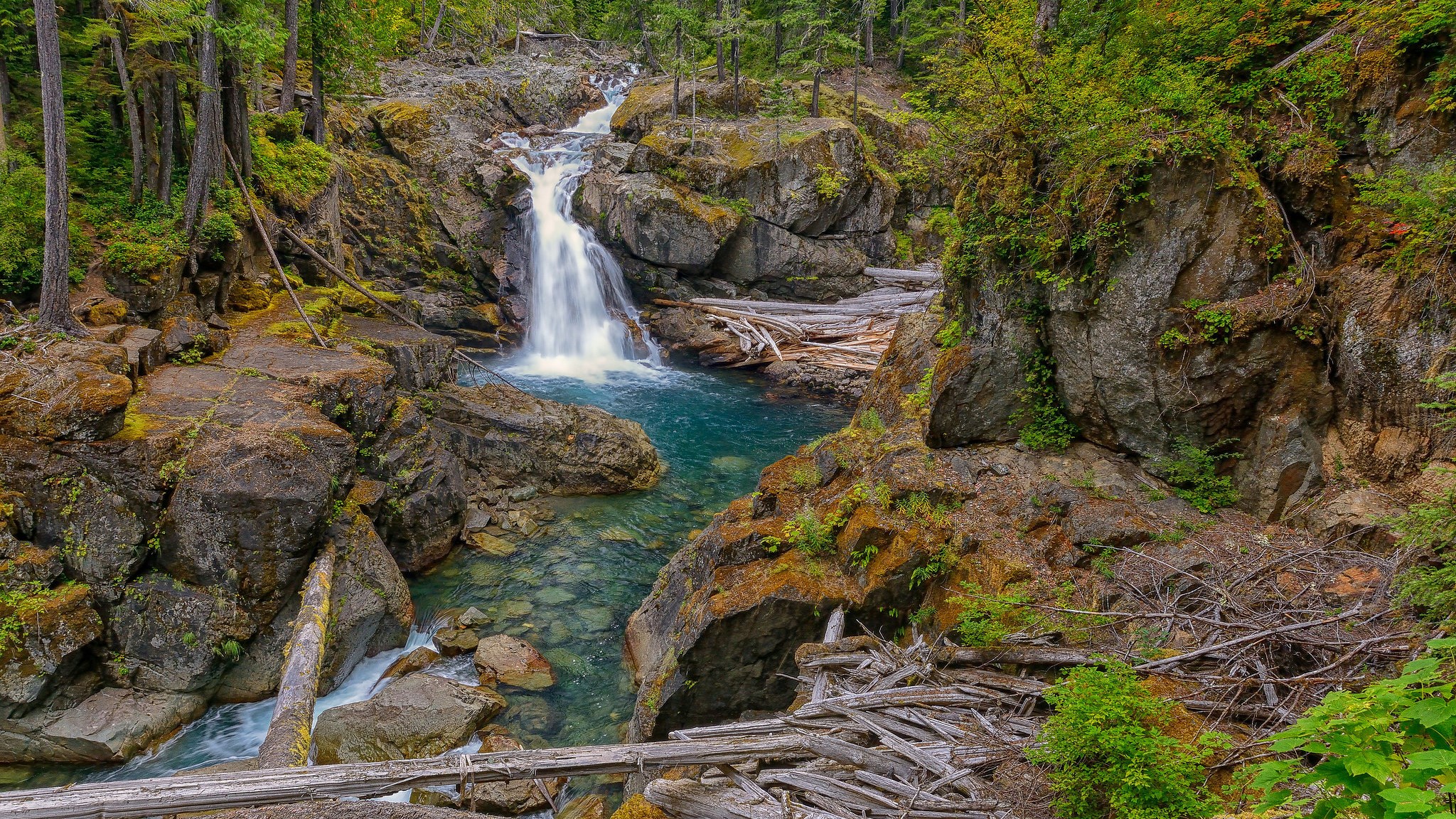 Waterfall cascading into a turquoise pool in a forest HD Wallpaper