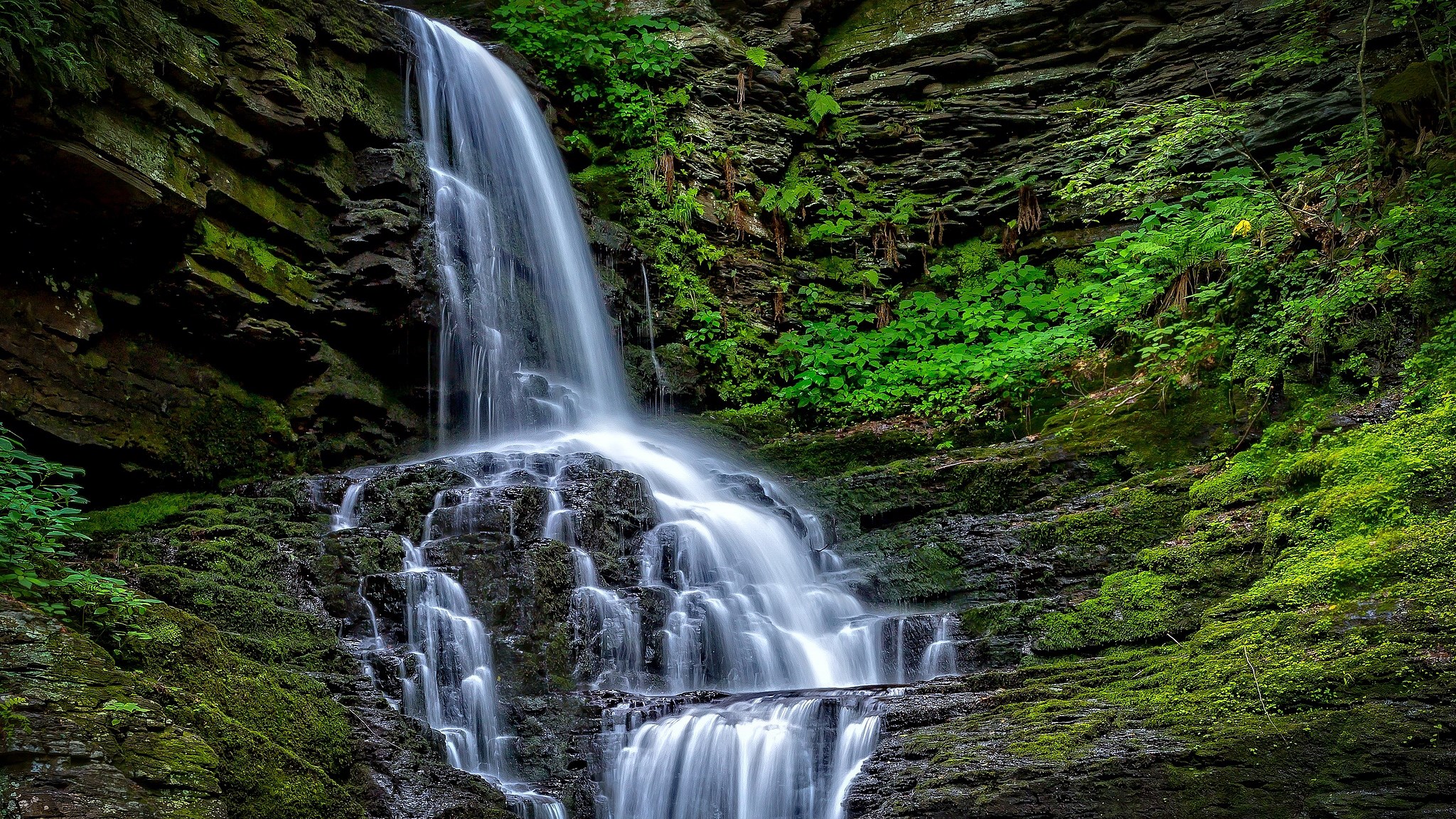 Waterfall cascading over moss-covered rocks in a forest HD Wallpaper