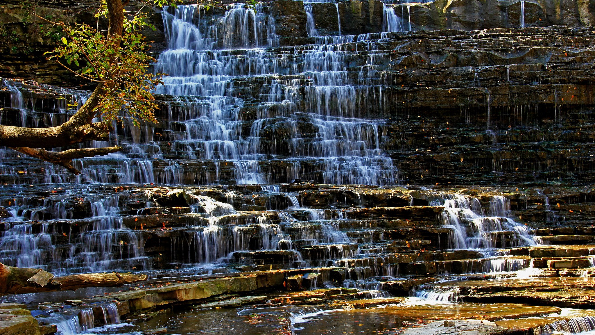 Tiered waterfall cascading over layered rocks with a tree branch HD Wallpaper