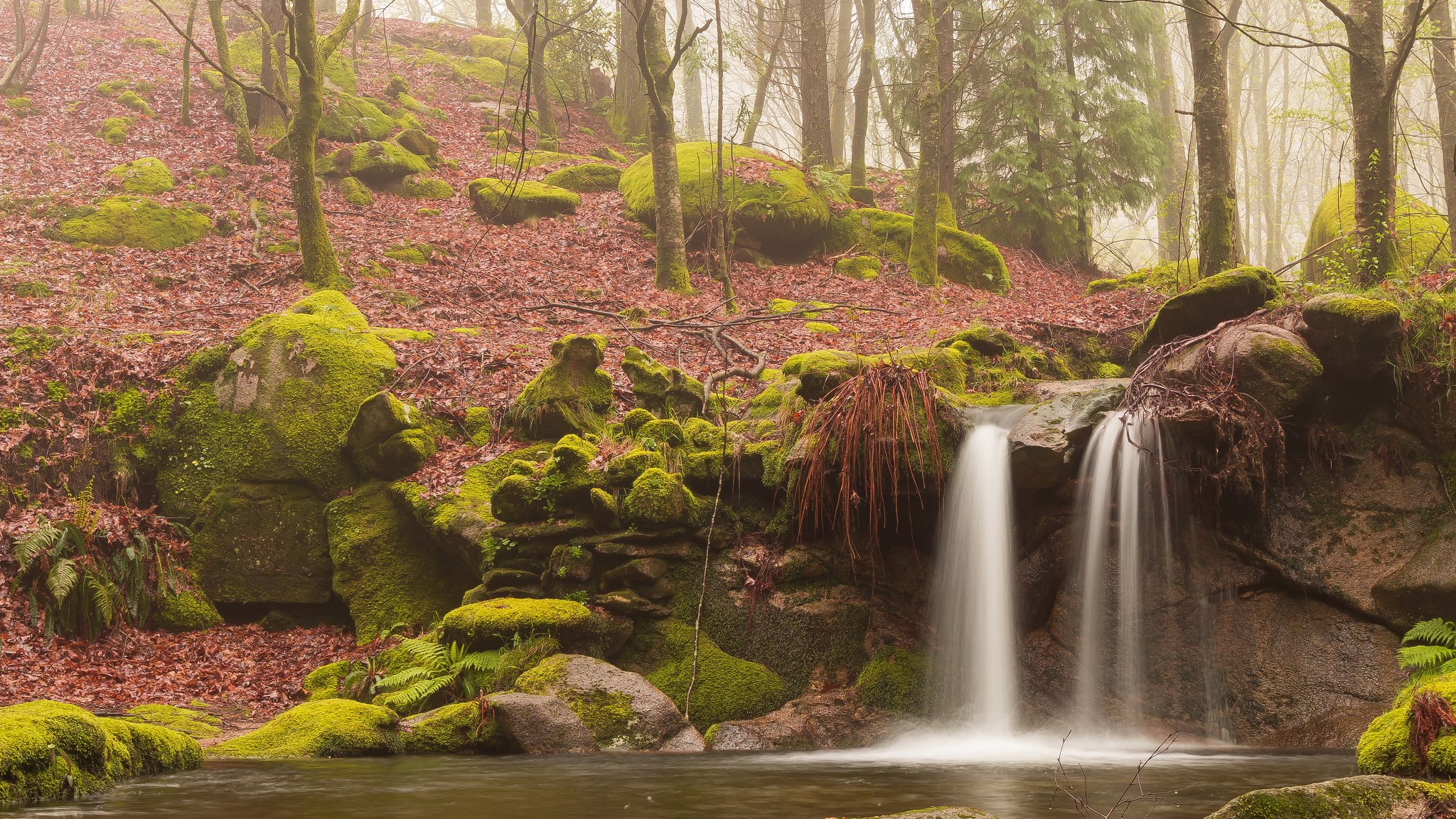 Misty forest with mossy rocks and a waterfall HD Wallpaper