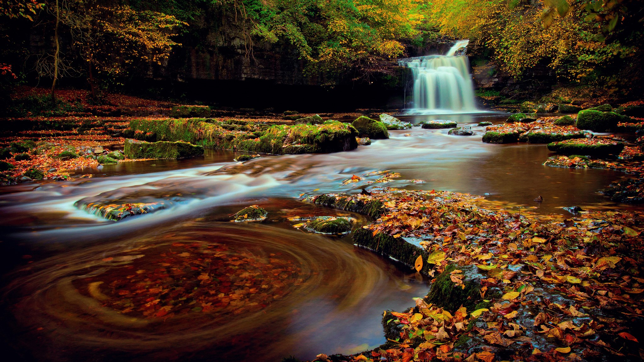 Autumn waterfall in a forest with fallen leaves HD Wallpaper