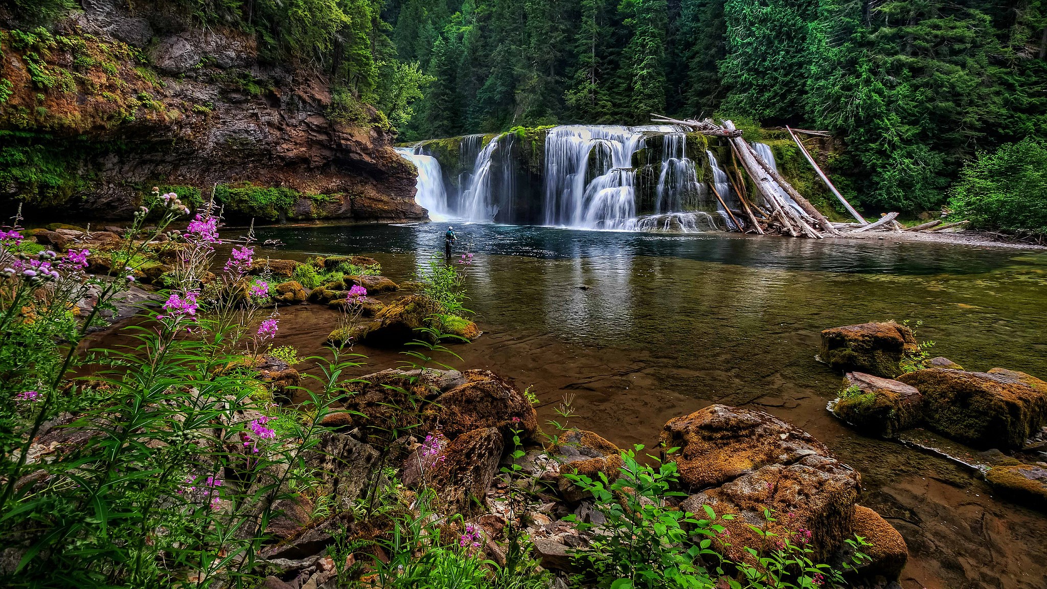 Waterfall in a Forest with Pink Flowers HD Wallpaper