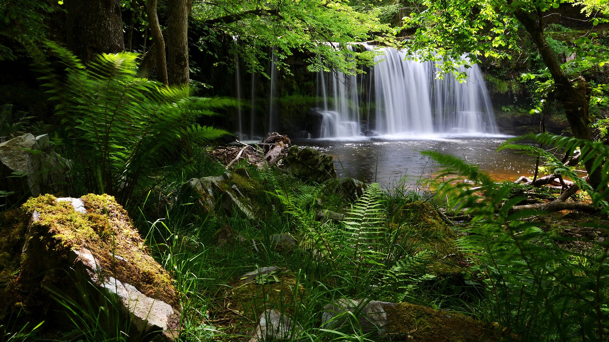 Waterfall in a lush green forest with mossy rocks HD Wallpaper