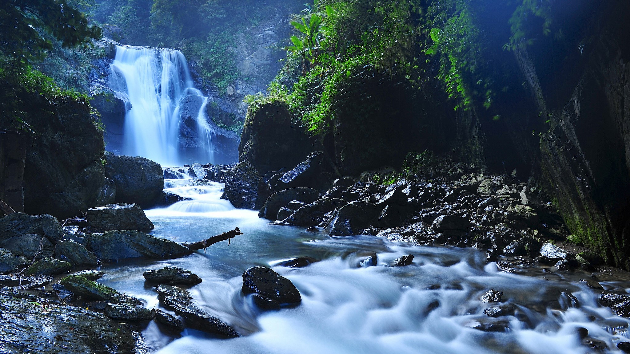 Waterfall cascading into a rocky stream in a forest HD Wallpaper