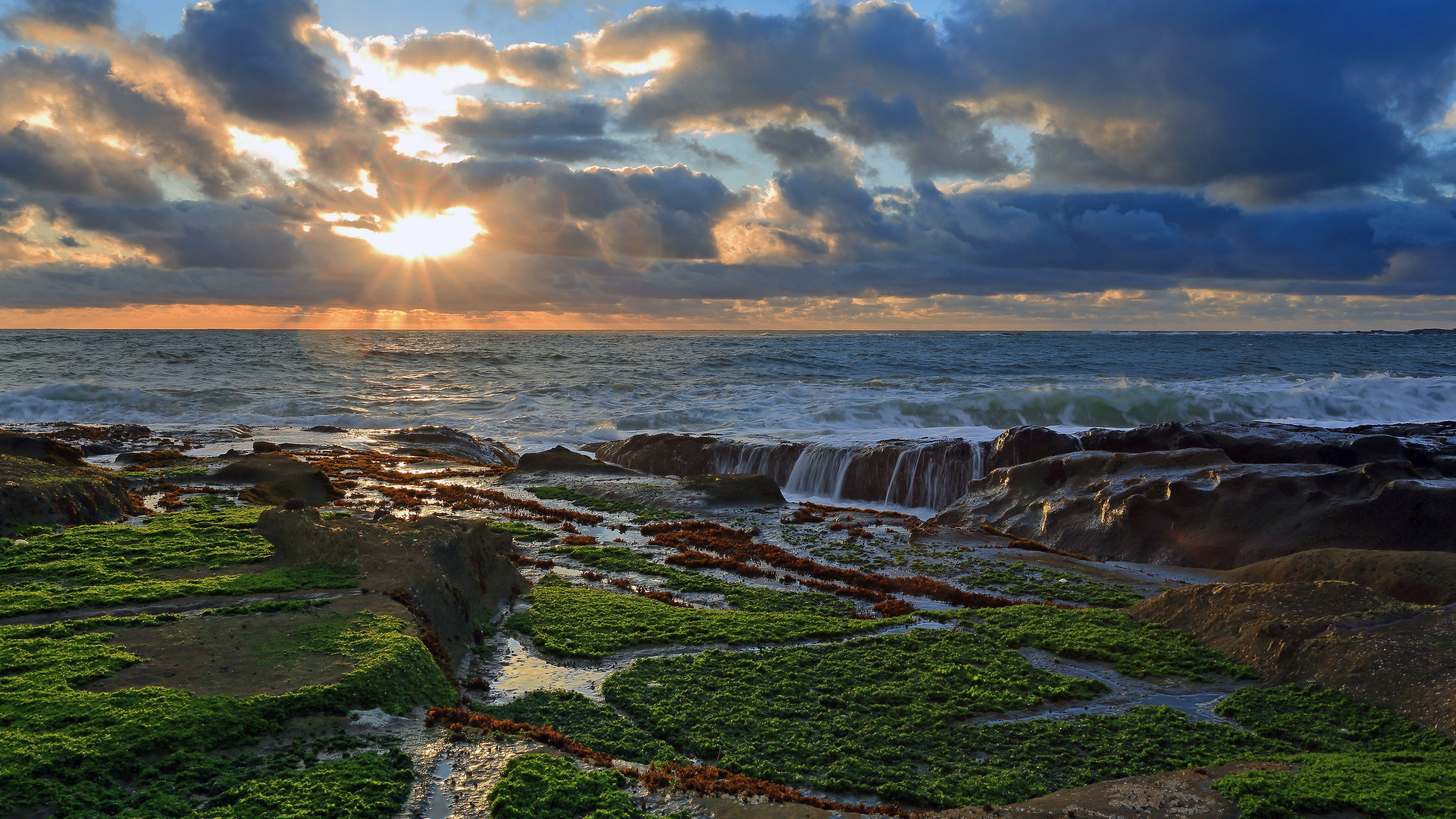 Sunset over rocky coast with green algae HD Wallpaper