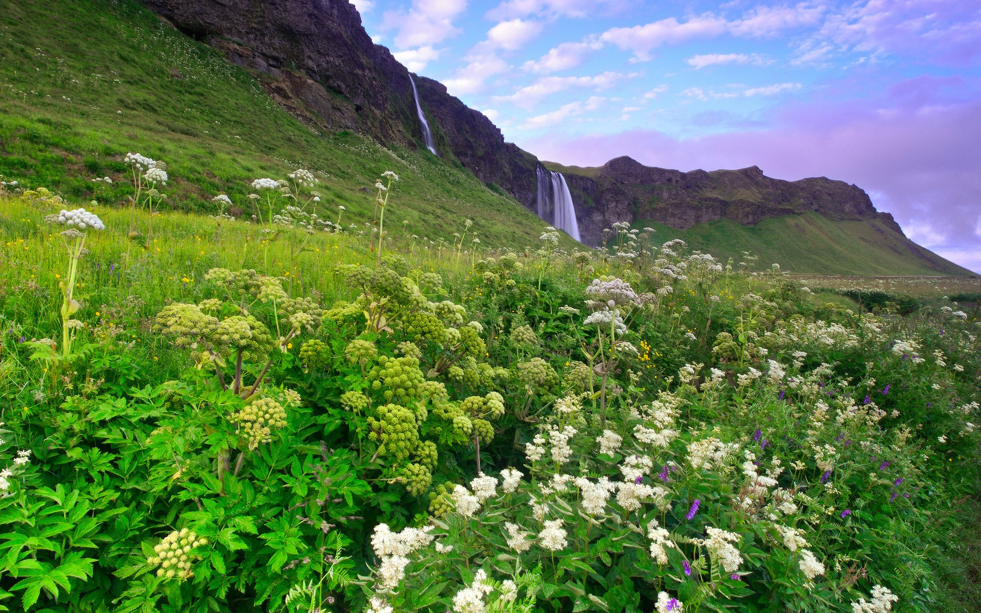 Waterfalls cascading down a green mountainside with wildflowers in the foreground HD Wallpaper