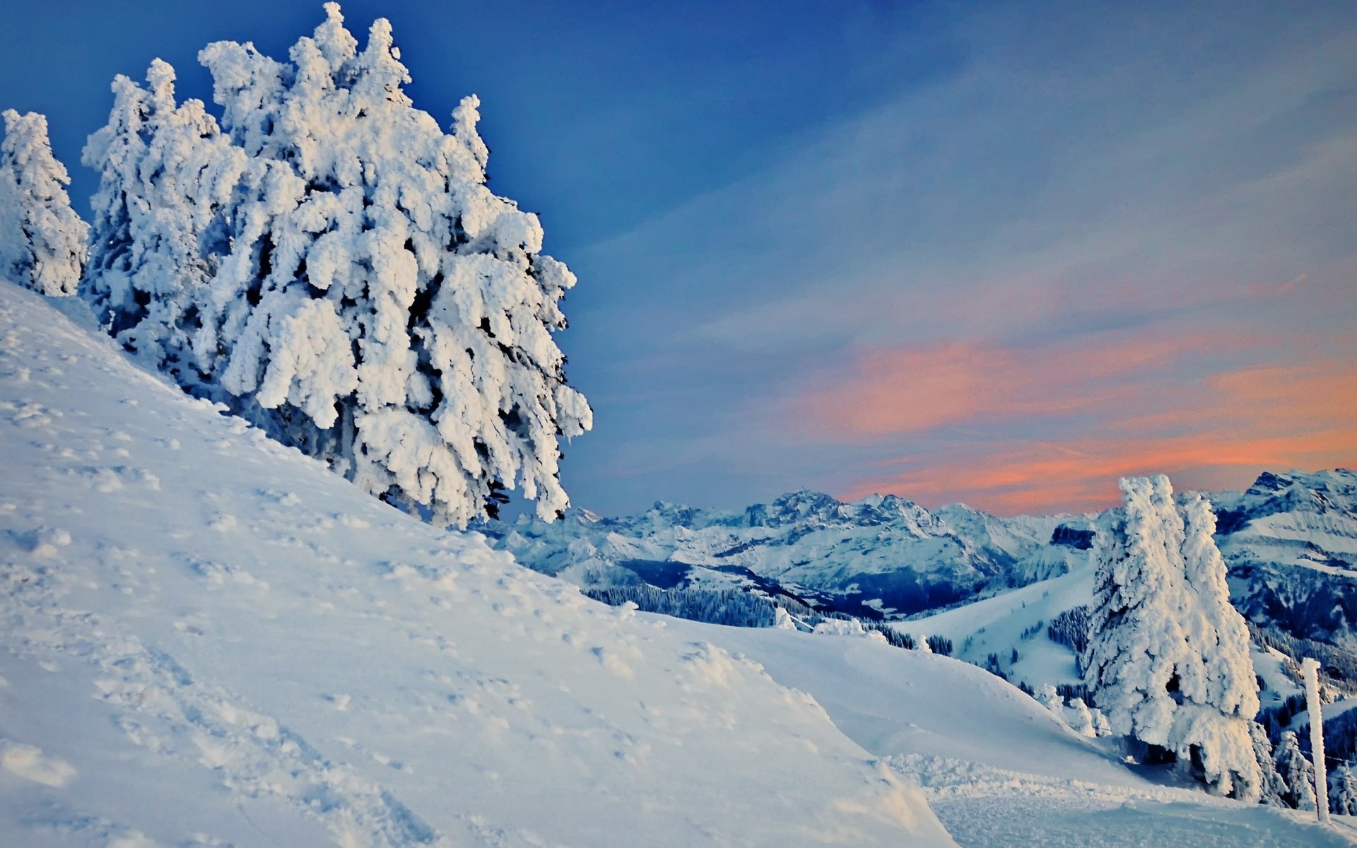 Snow-covered trees on a mountain slope at sunset HD Wallpaper