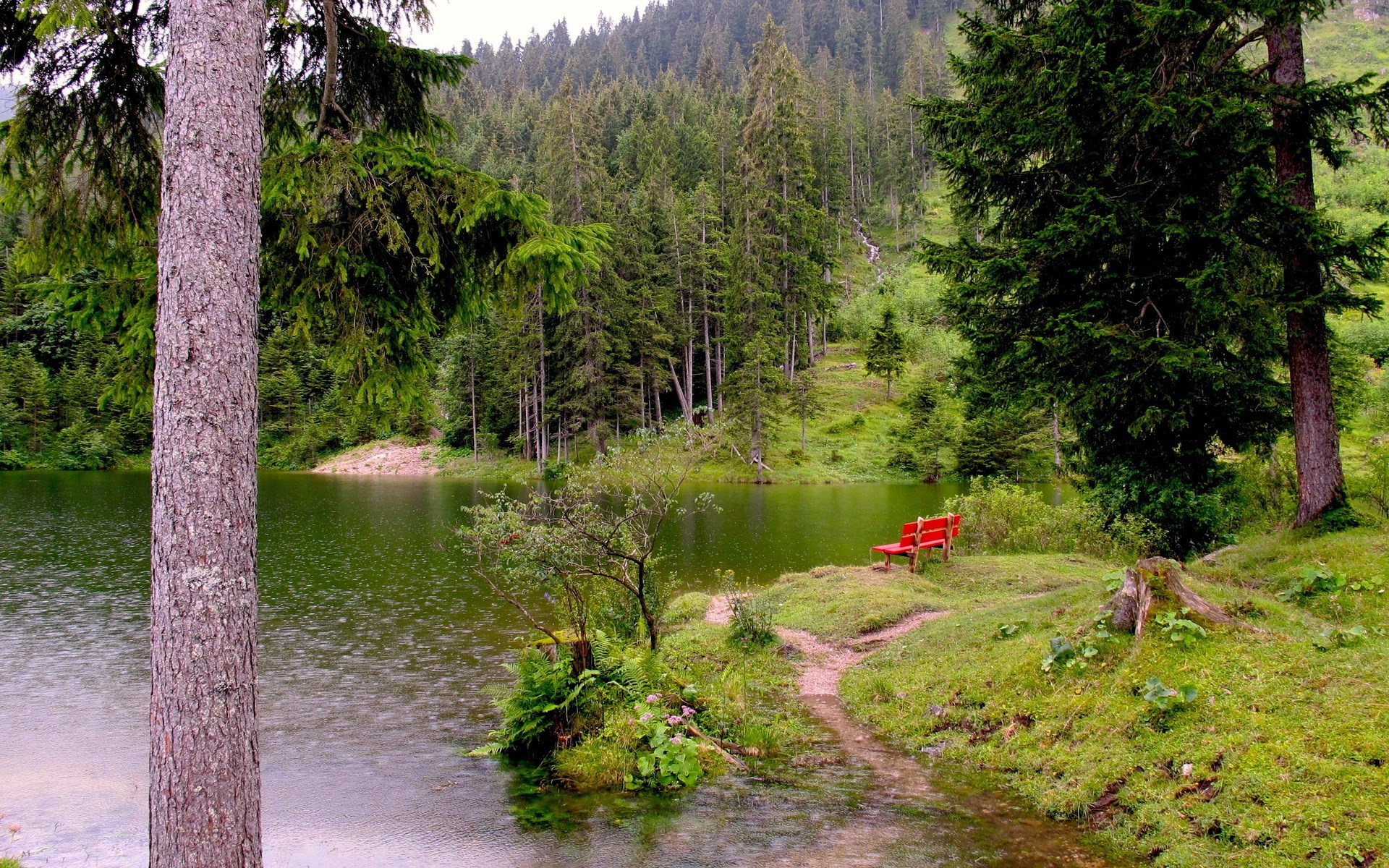 Red bench by a lake in a forest HD Wallpaper