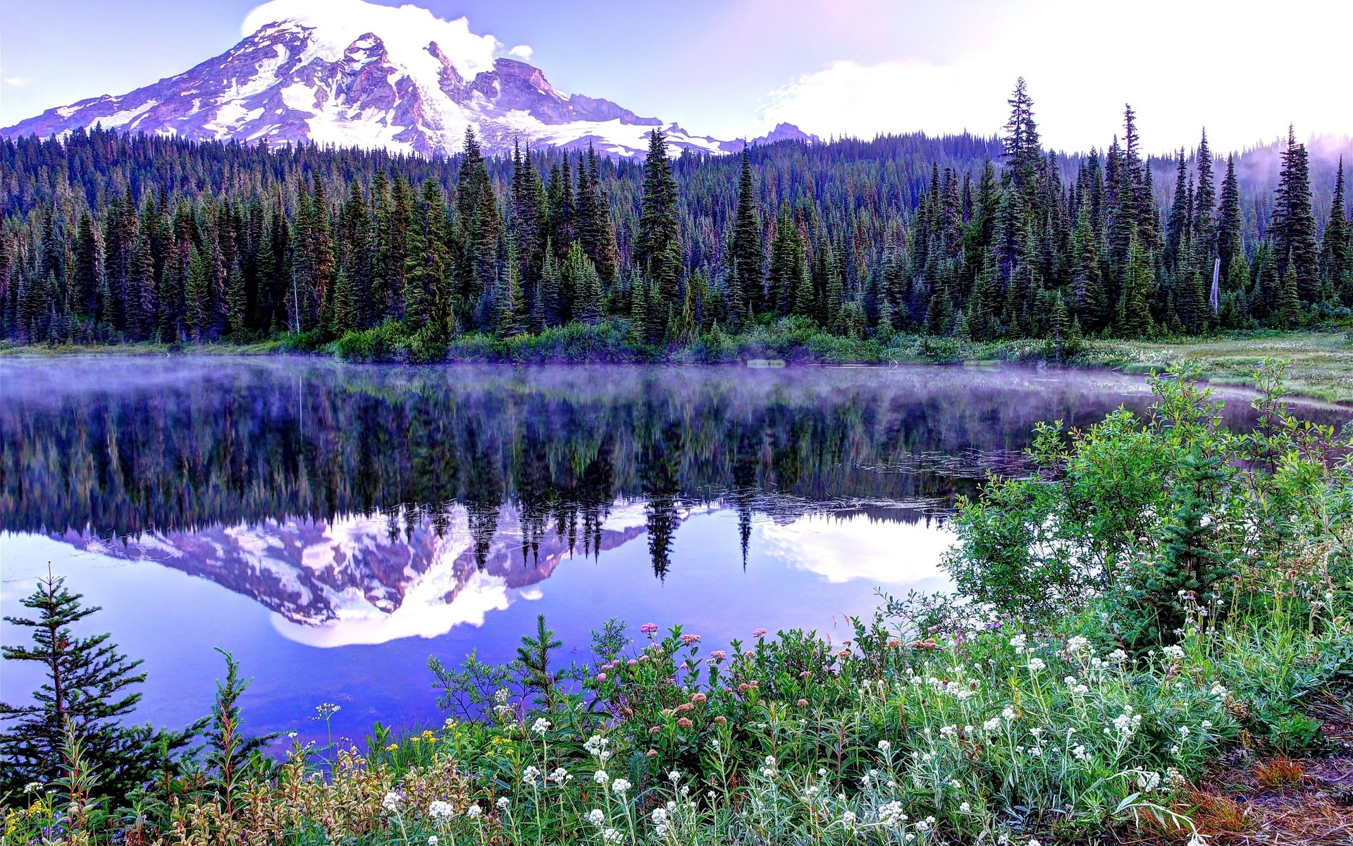Mount Rainier reflected in a calm lake with pine forest HD Wallpaper