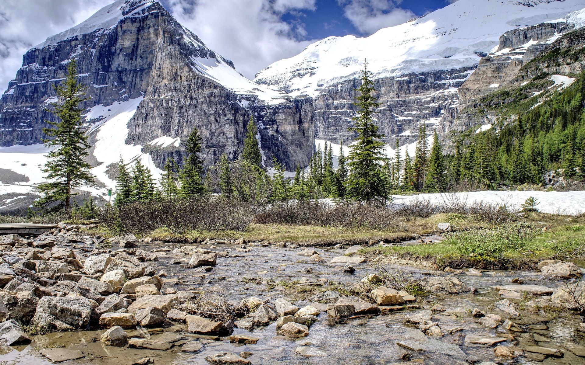 Rocky stream in front of snow-capped mountains and pine trees HD Wallpaper
