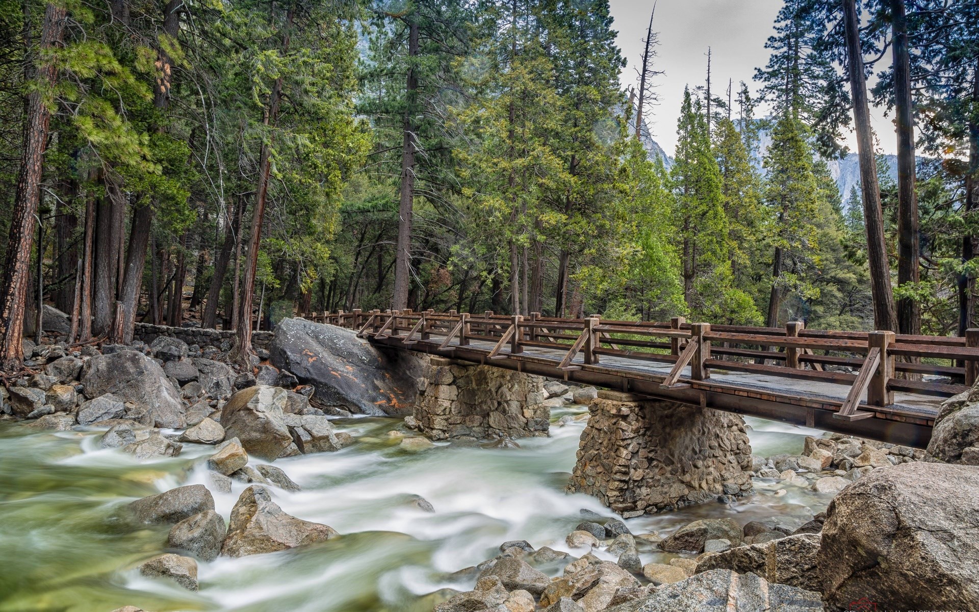 Wooden bridge over a river in a forest HD Wallpaper