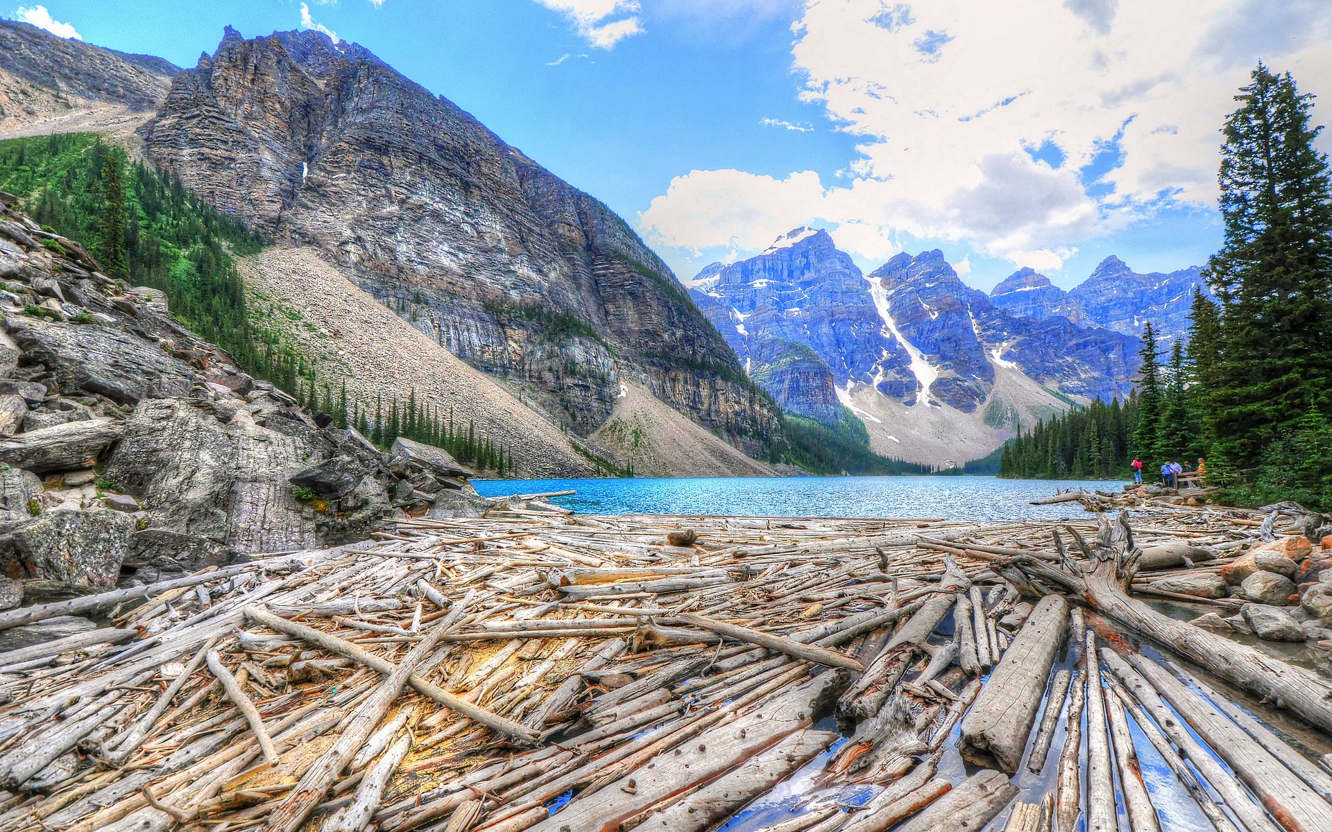 Moraine Lake with Mountains and Driftwood HD Wallpaper