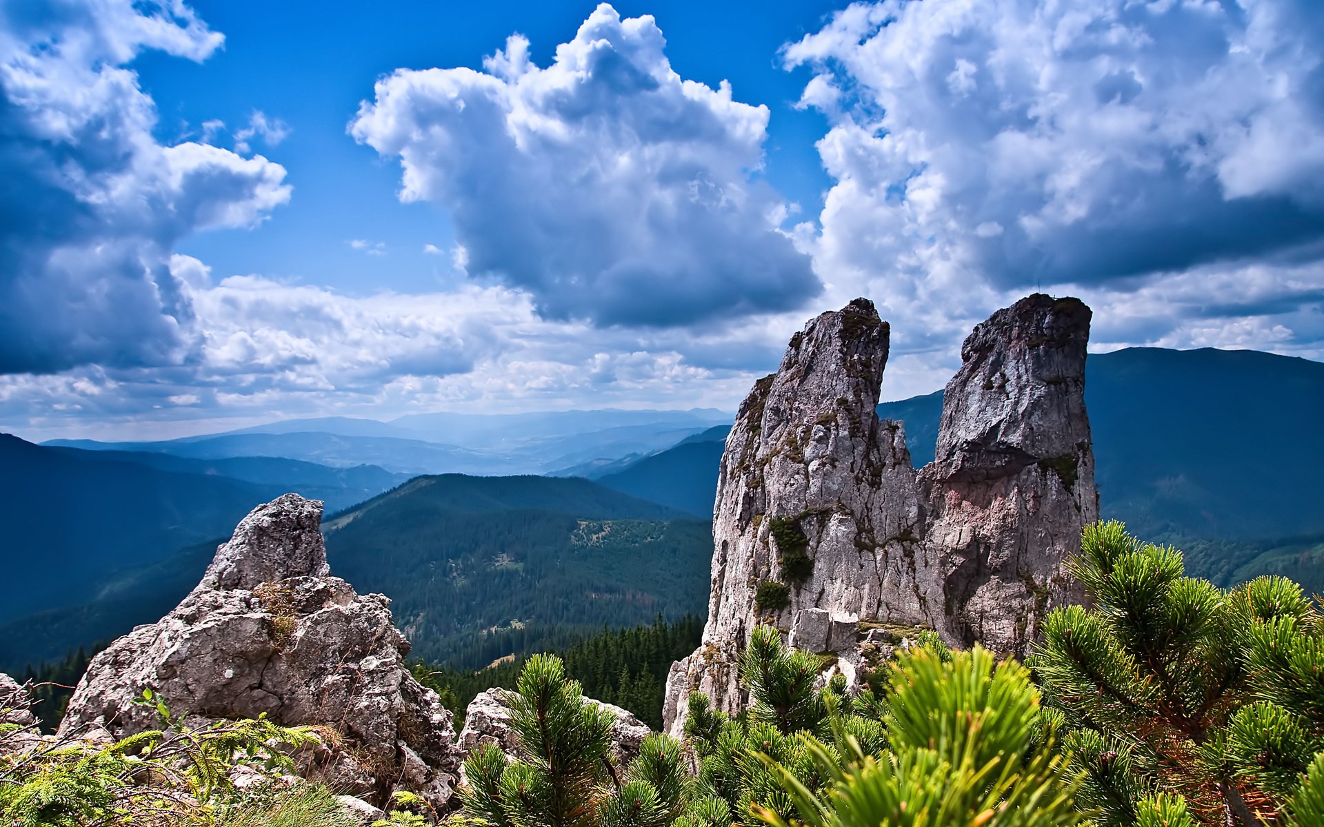 Rocky mountain peaks with pine trees and clouds HD Wallpaper