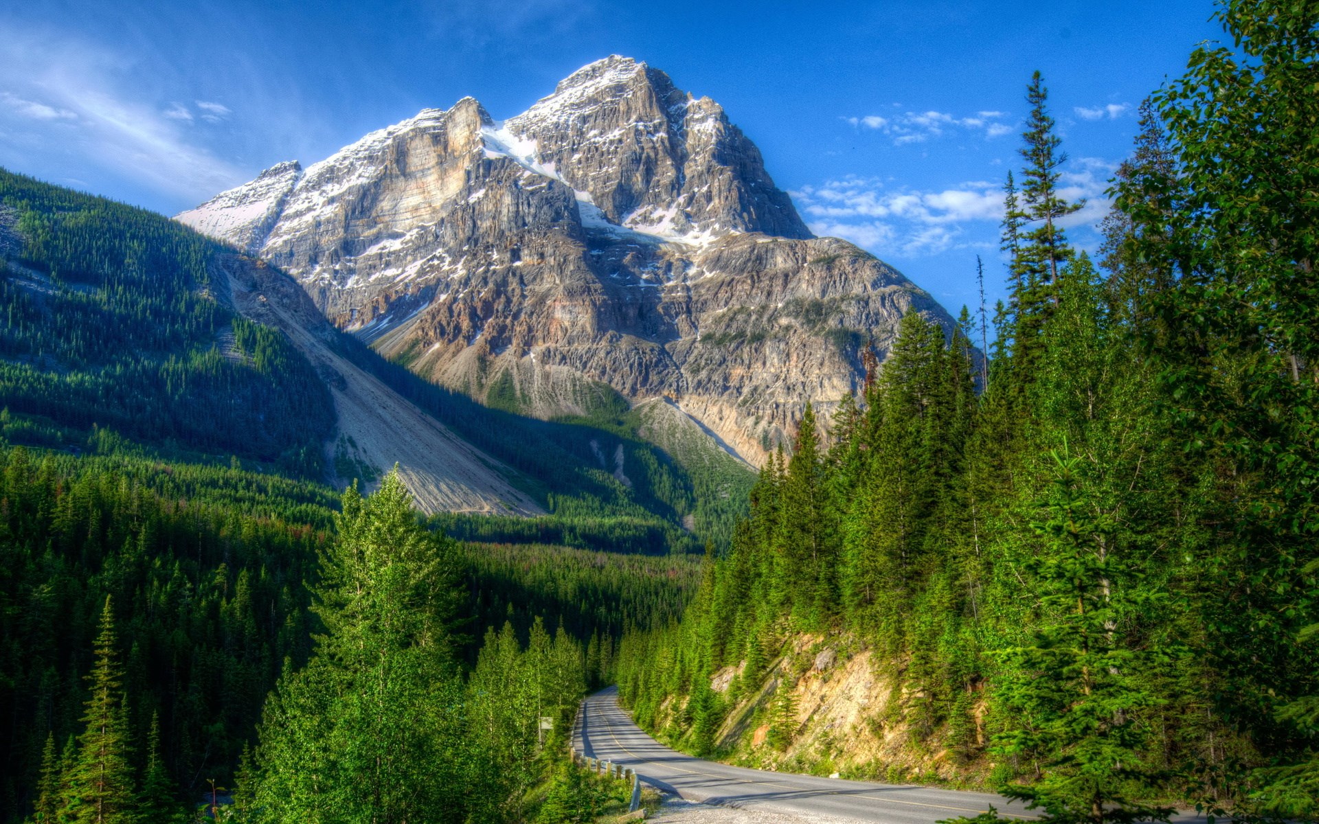 Mountain road through a forest with a snow-capped mountain HD Wallpaper
