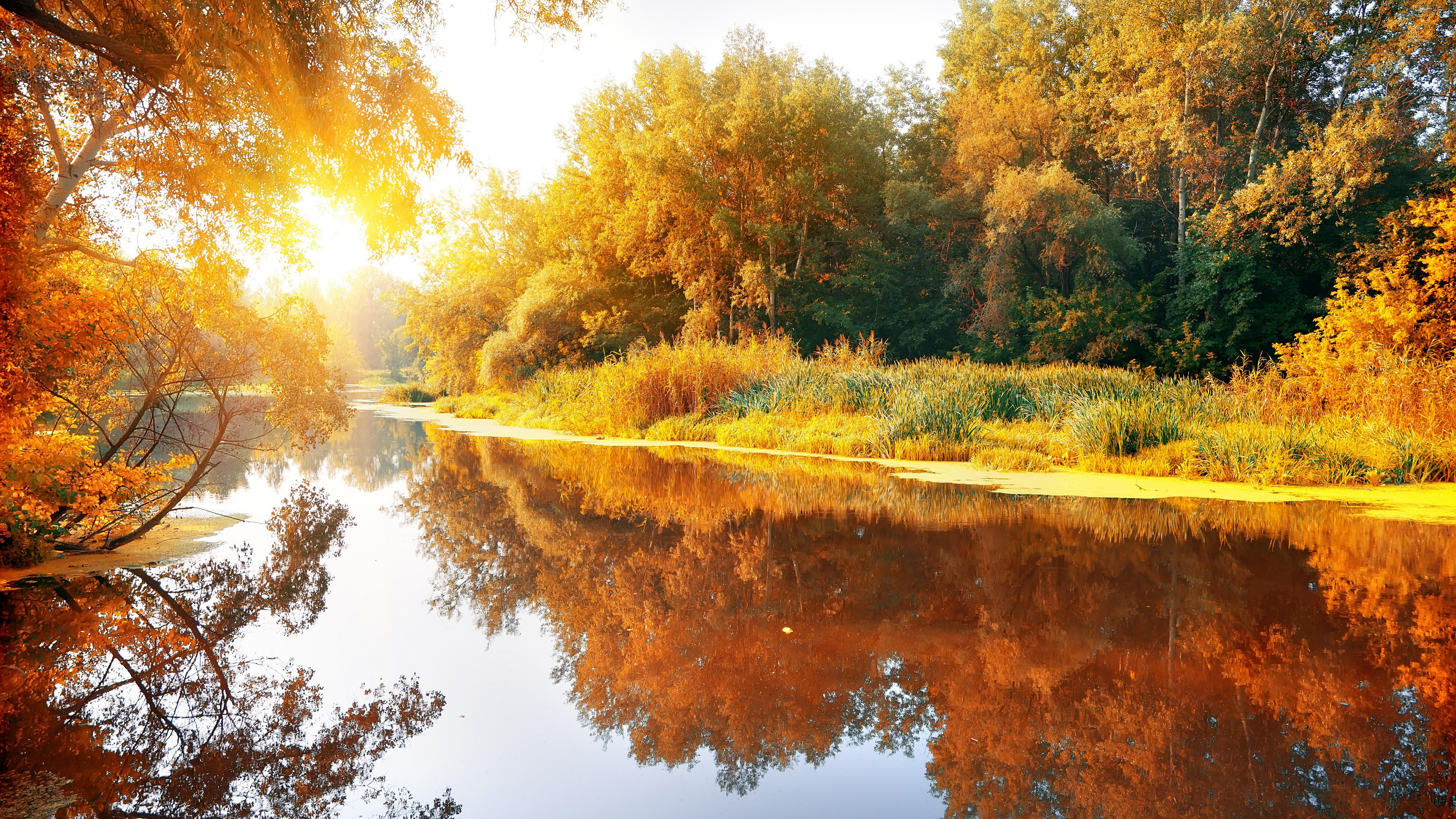 Autumn river with sunlit trees and reflections HD Wallpaper