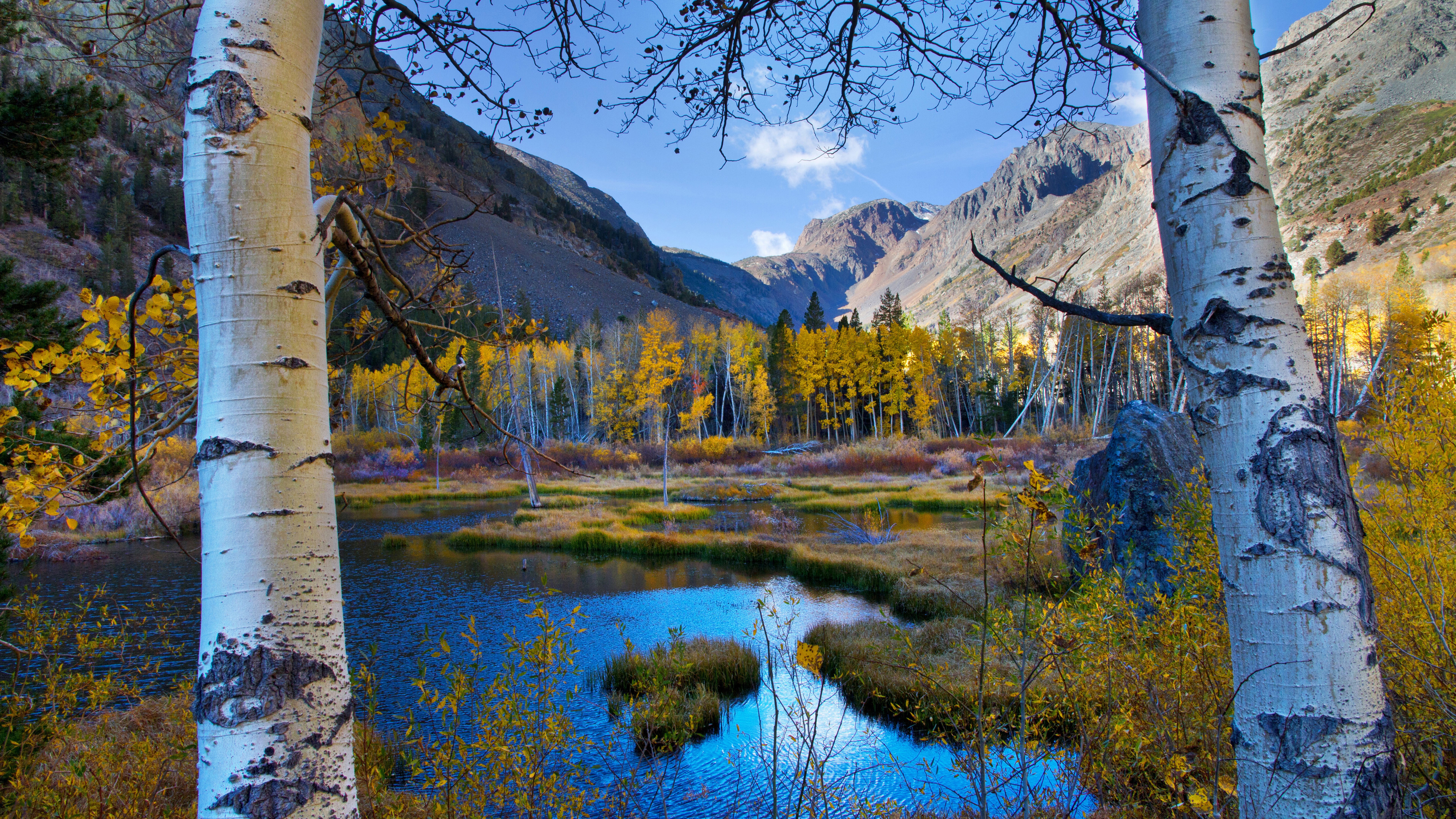 Autumn landscape with aspen trees and a mountain lake HD Wallpaper