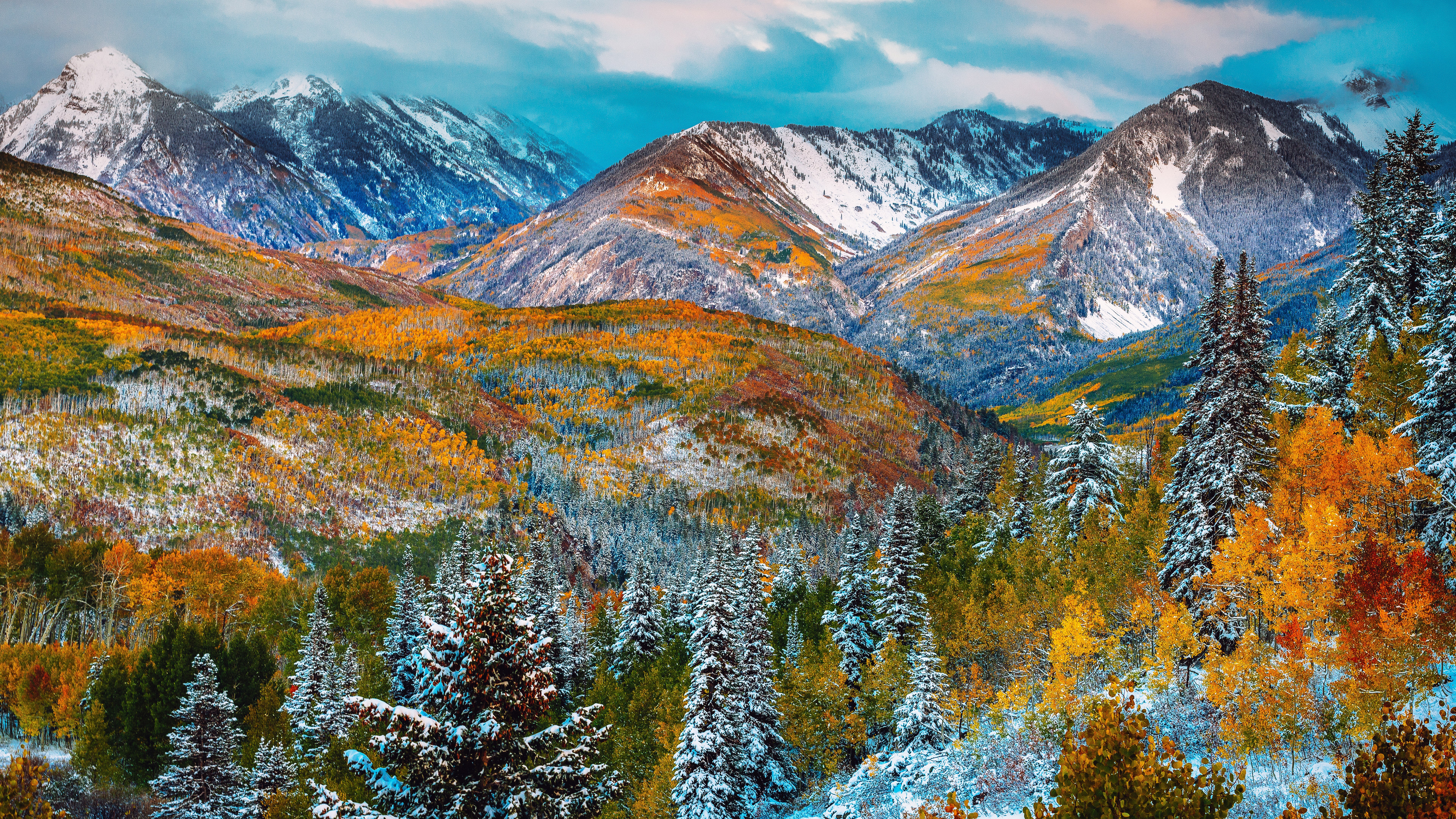 Snow-dusted mountains and autumn trees HD Wallpaper