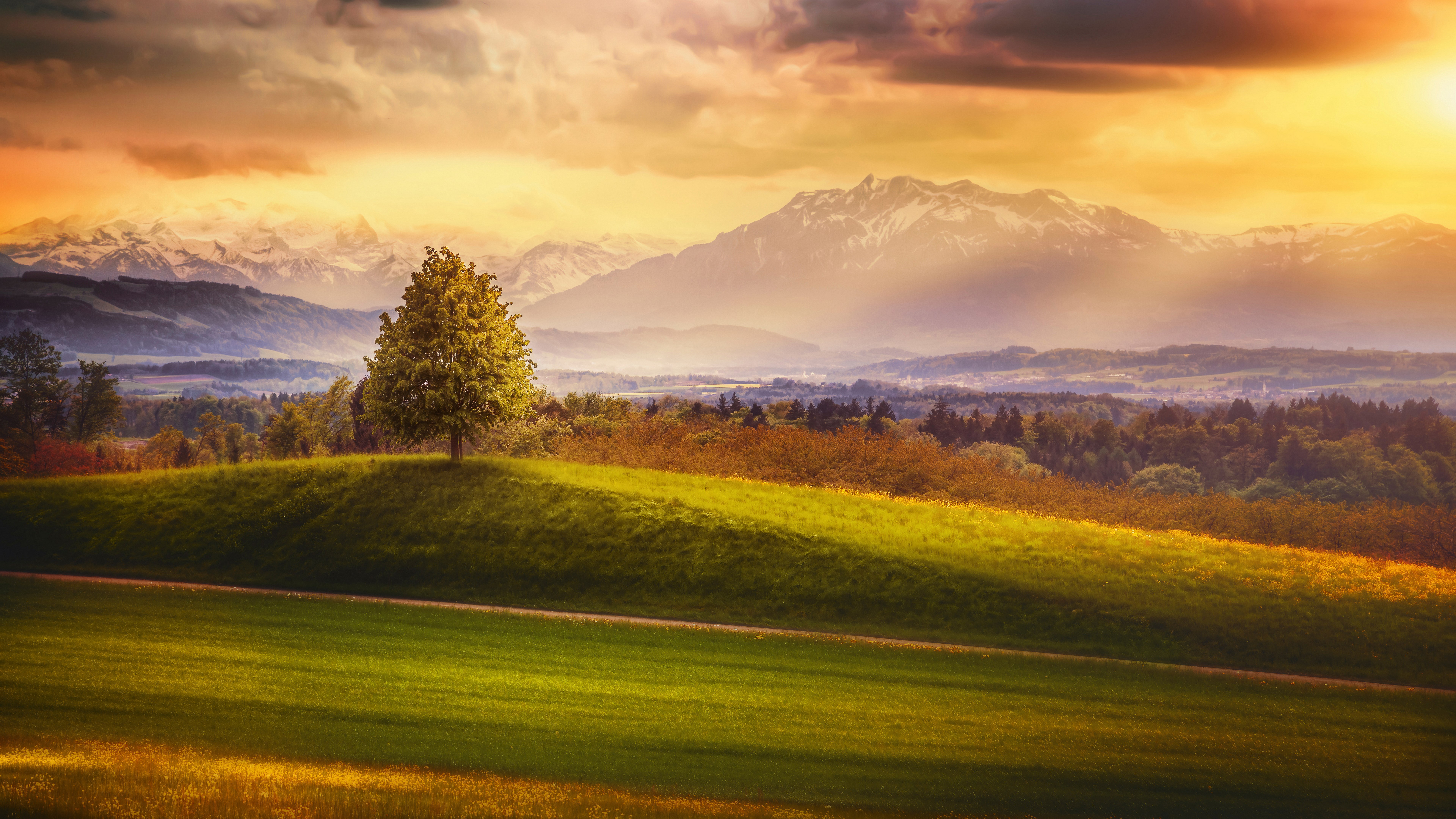 Sunlit mountain landscape with a lone tree HD Wallpaper