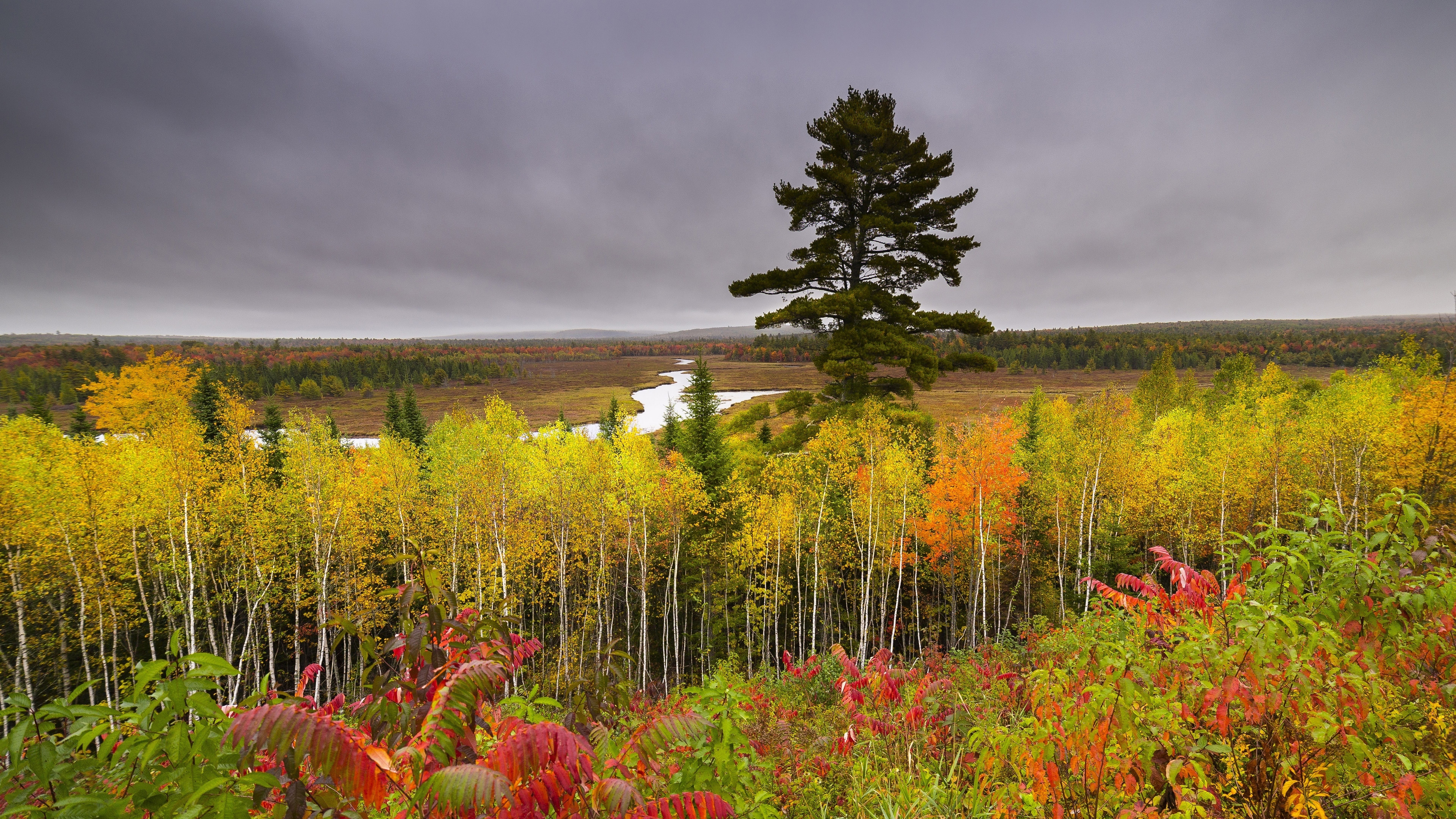 Autumn forest with a winding river under a cloudy sky HD Wallpaper