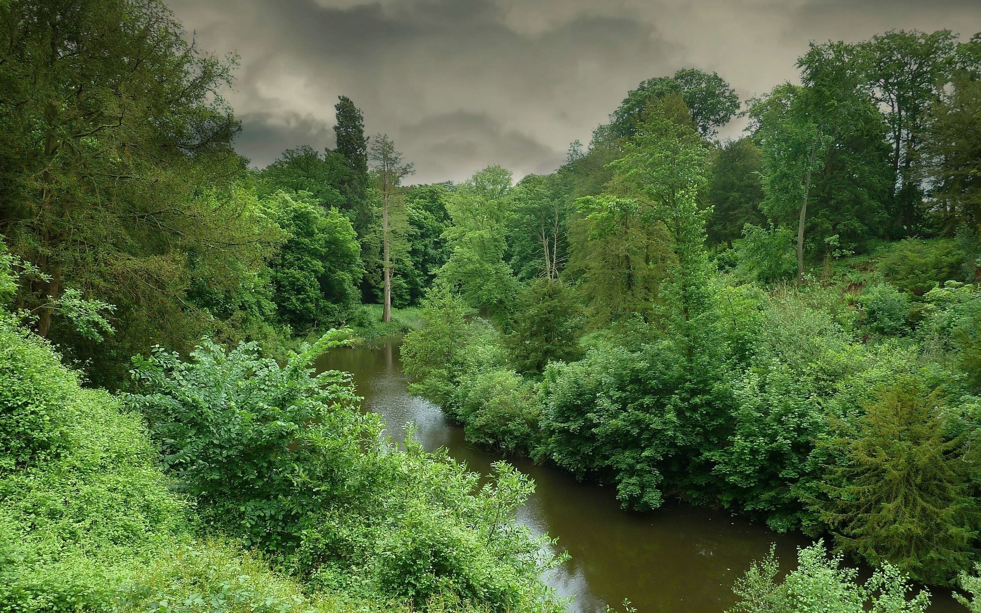 A winding river through a dense forest under a cloudy sky HD Wallpaper