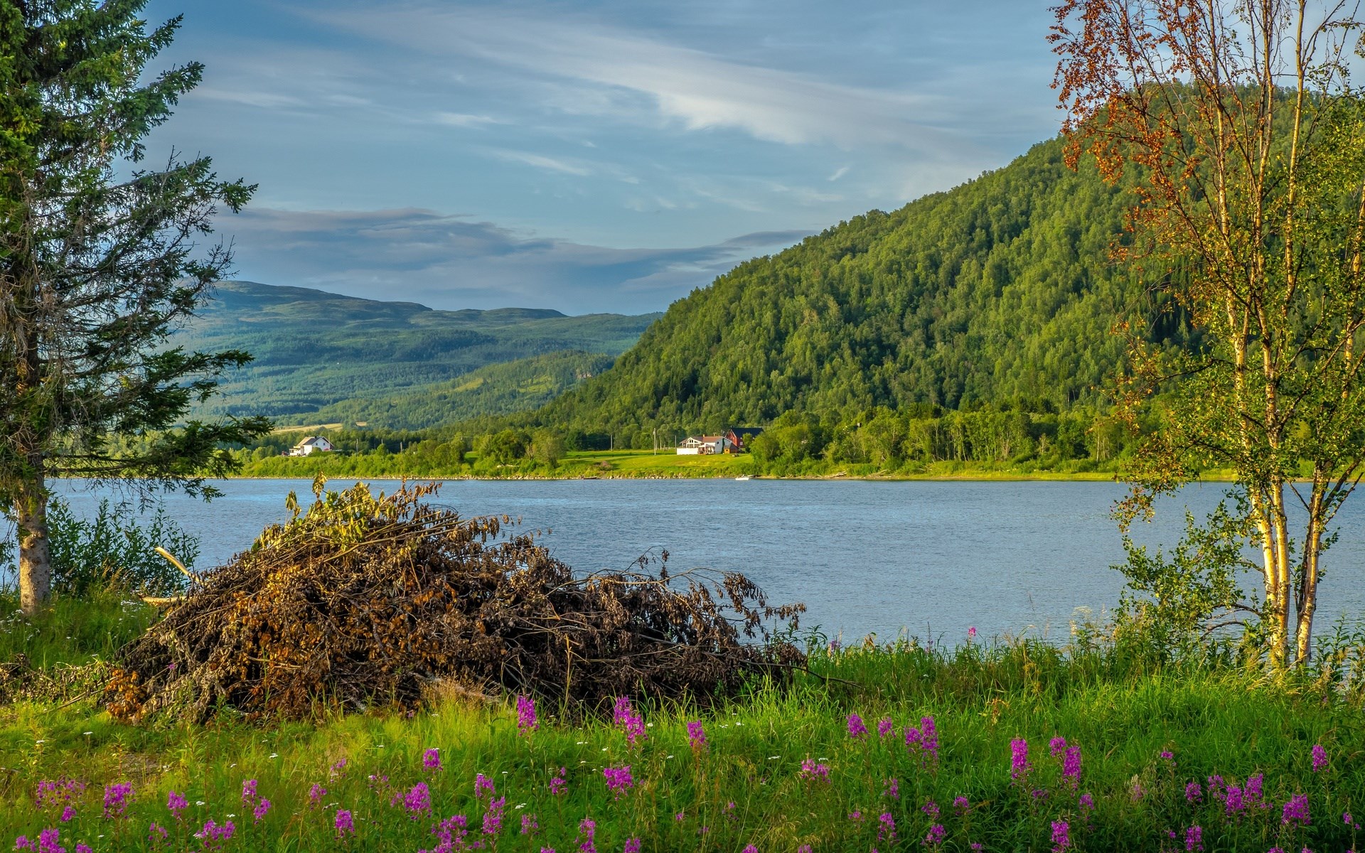 Lake and Mountain Landscape with Wildflowers HD Wallpaper