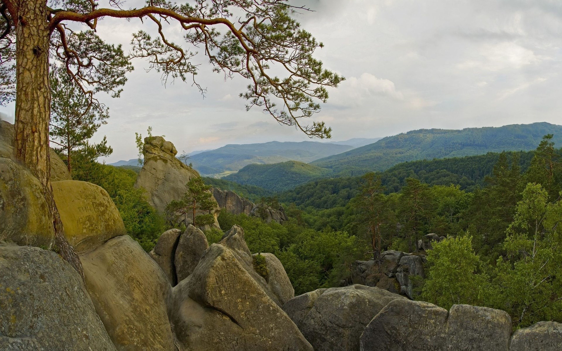 Rocky outcrop overlooking a forested valley HD Wallpaper