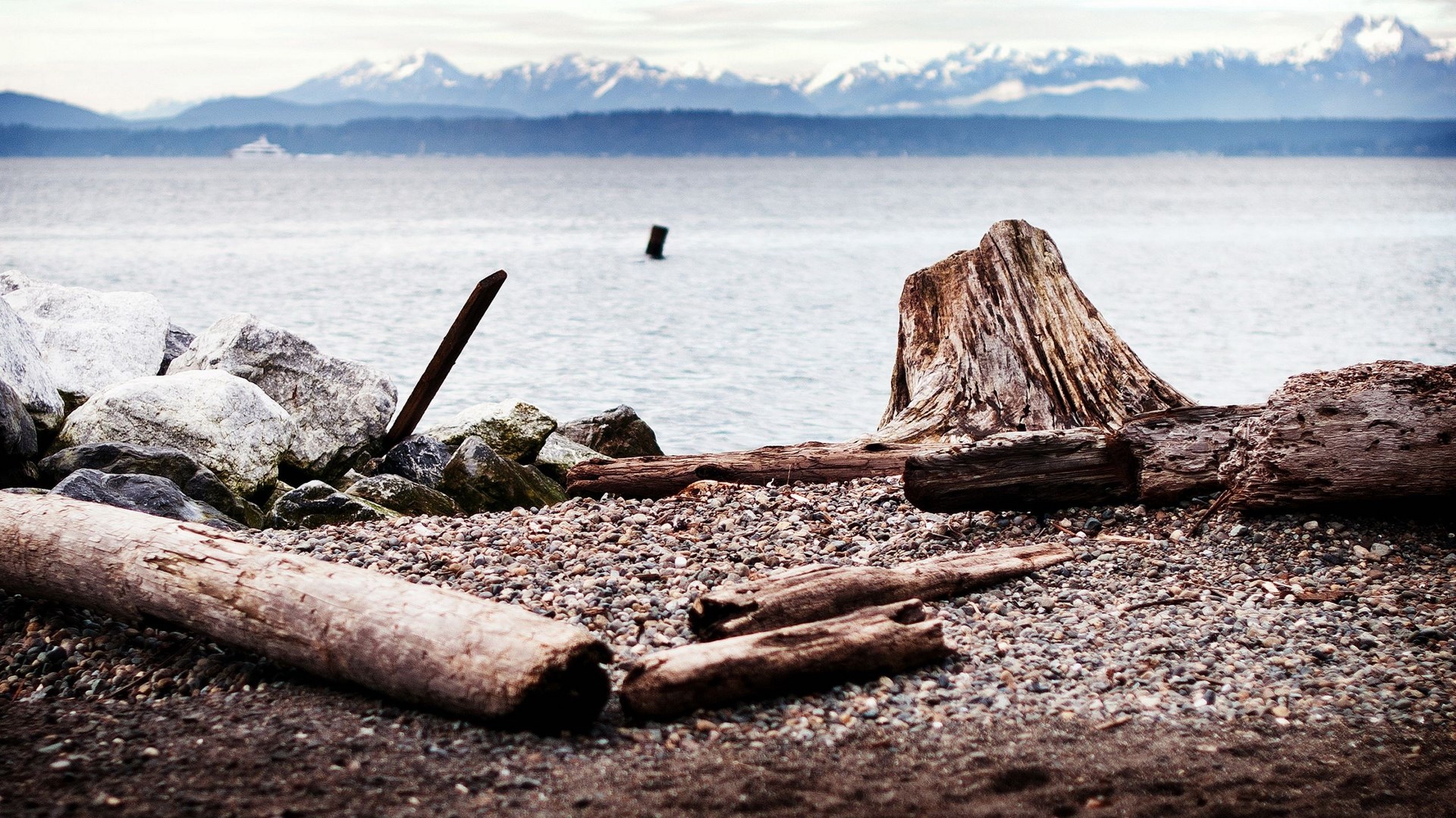Driftwood and rocks on a beach with mountains in the distance HD Wallpaper