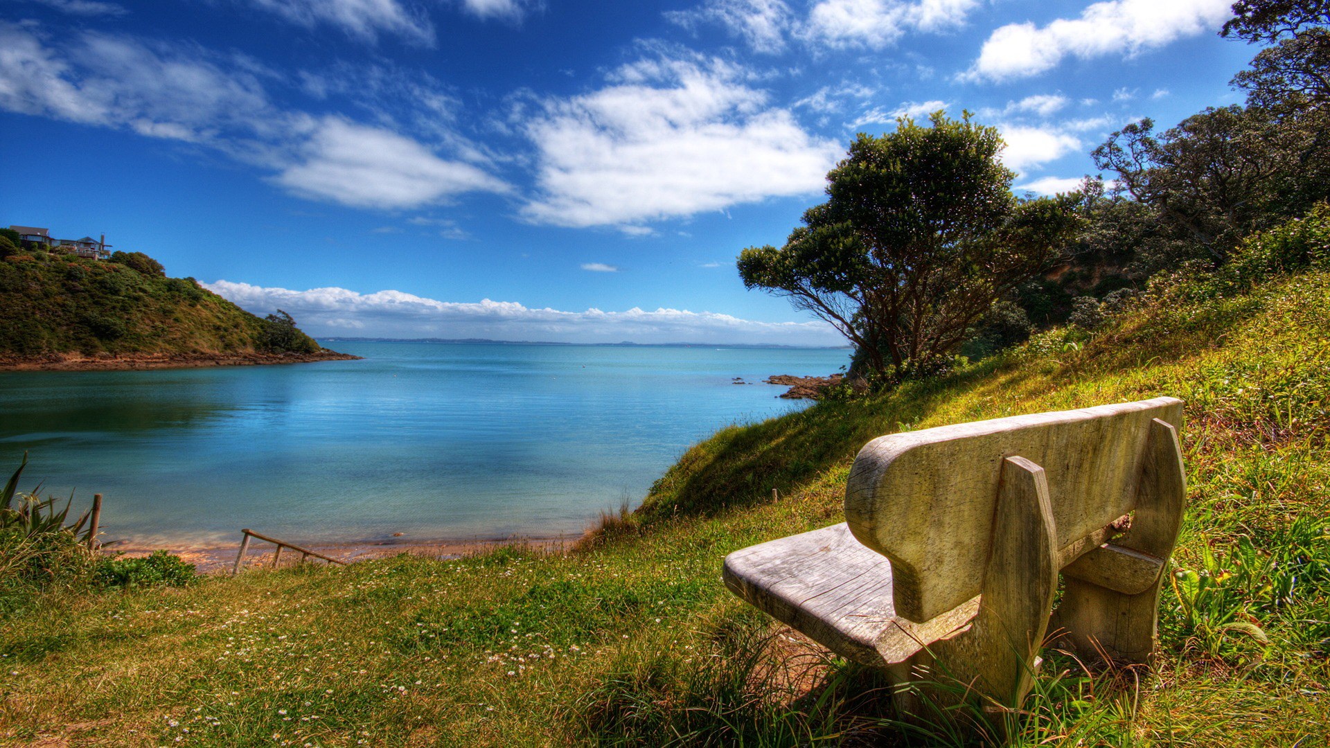 Bench overlooking a bay with trees and clouds HD Wallpaper
