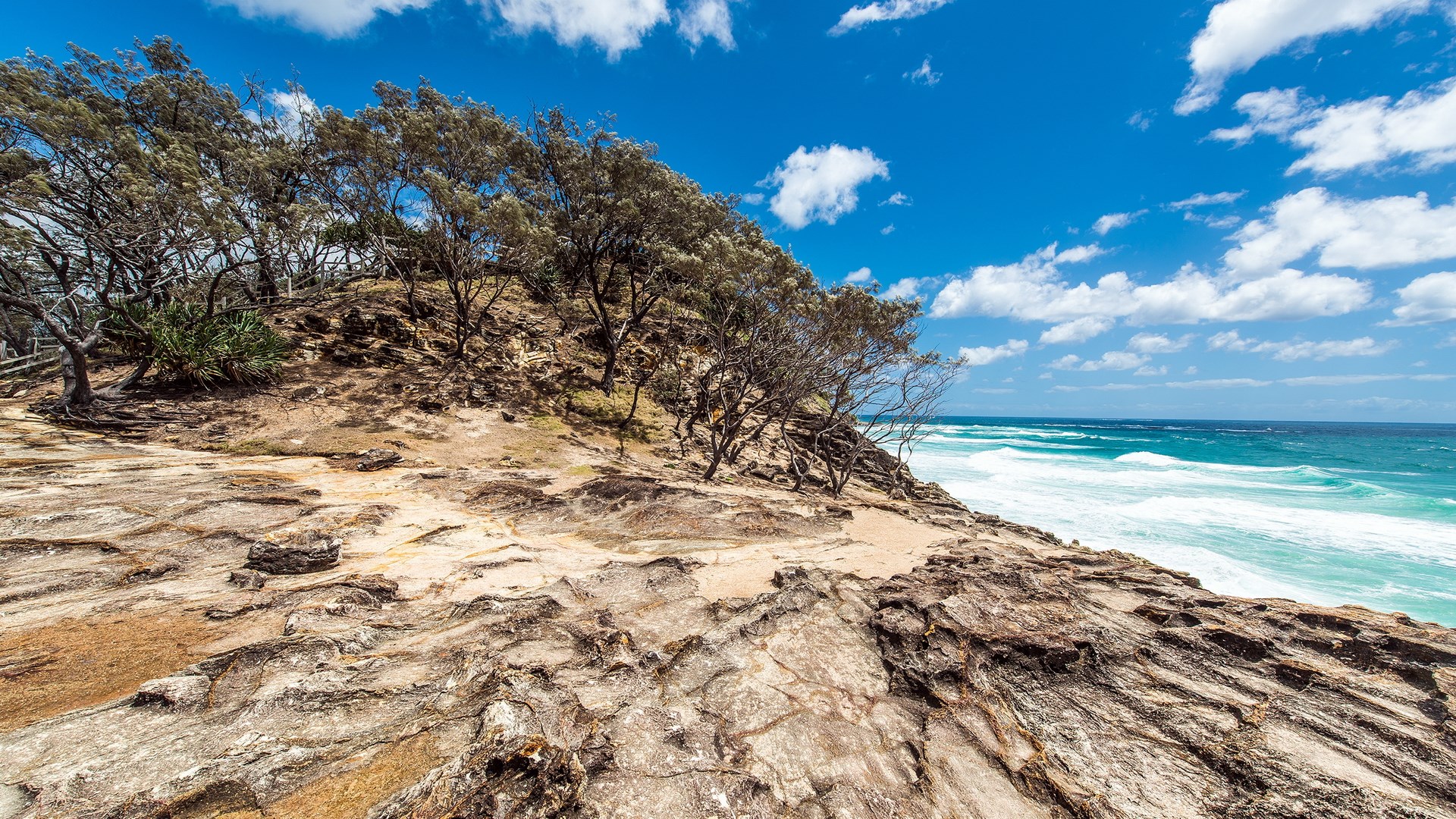 Rocky coastline with trees and ocean waves HD Wallpaper