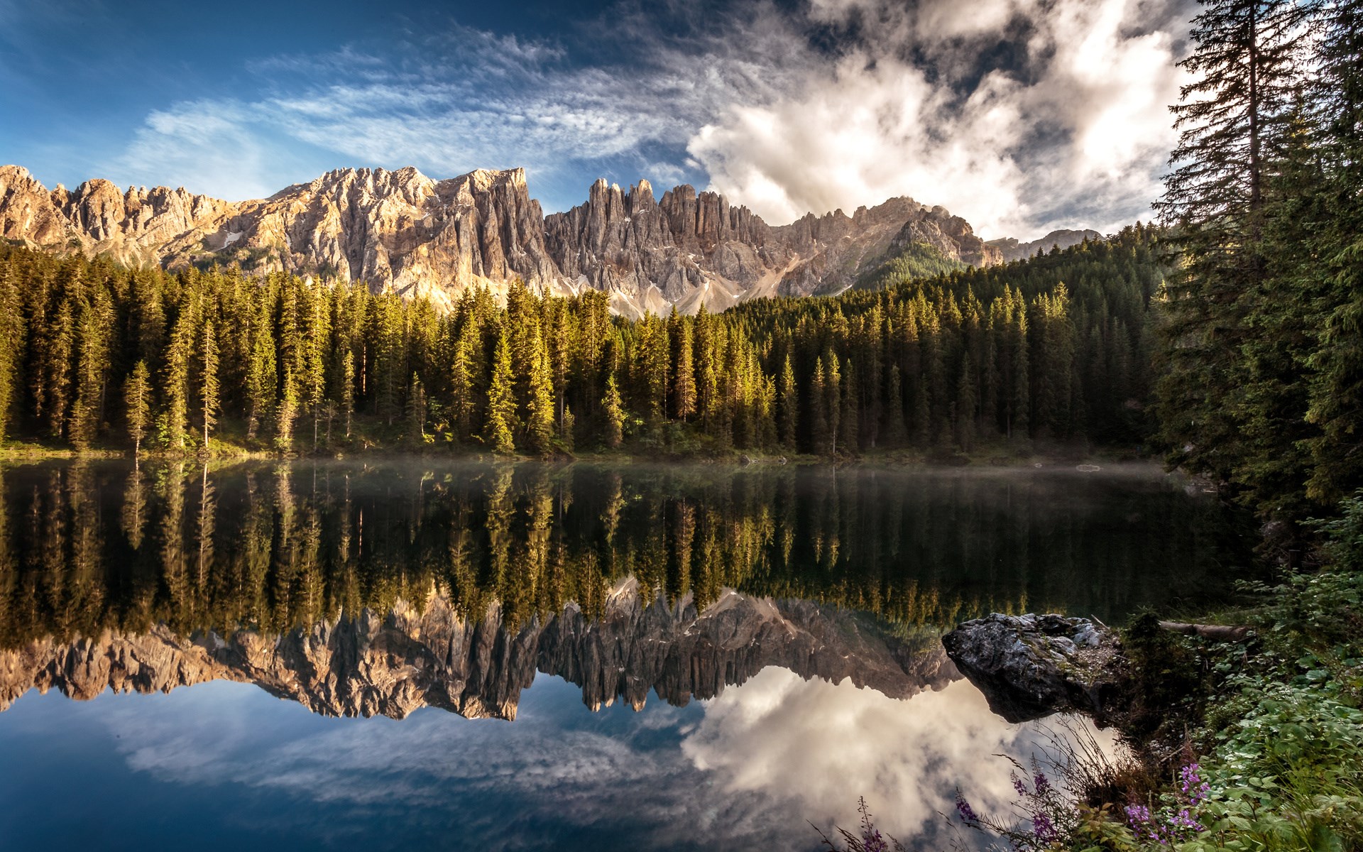 Mountain lake reflection with pine forest and rocky peaks HD Wallpaper