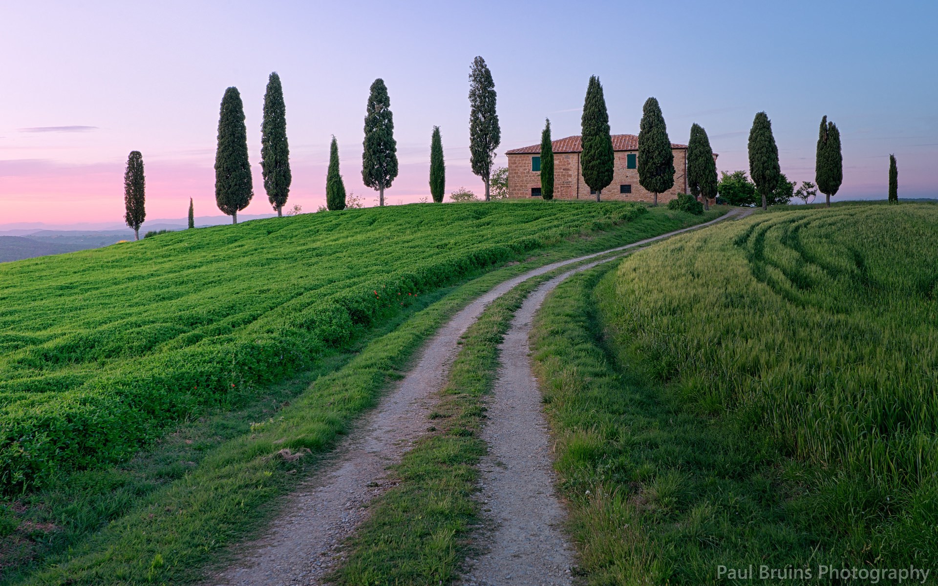 Tuscan farmhouse with cypress trees and rolling hills HD Wallpaper