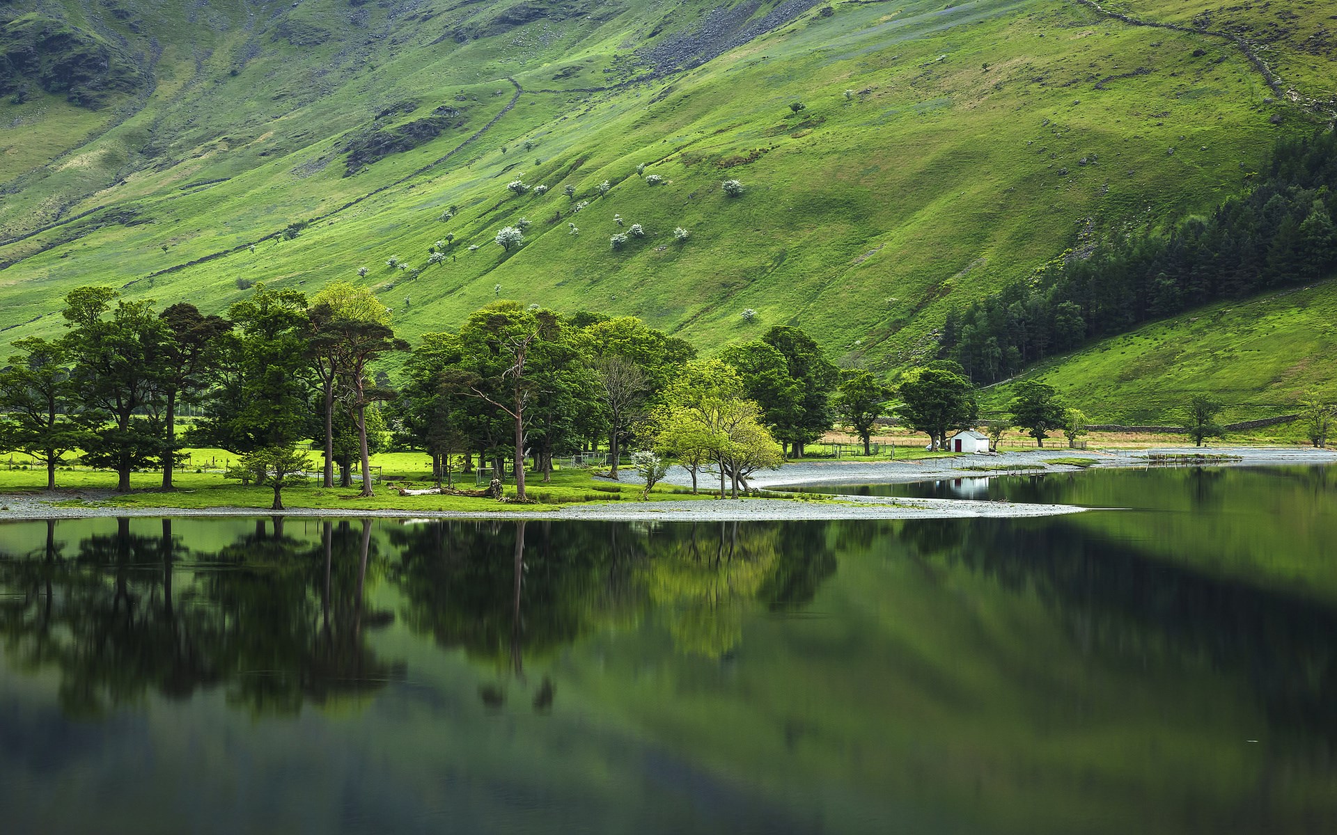 Green Hillside Overlooking a Lake with Trees HD Wallpaper