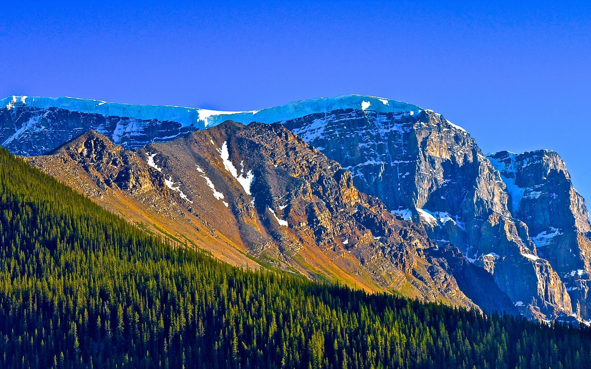 Snow-capped mountains and evergreen forest under a blue sky HD Wallpaper