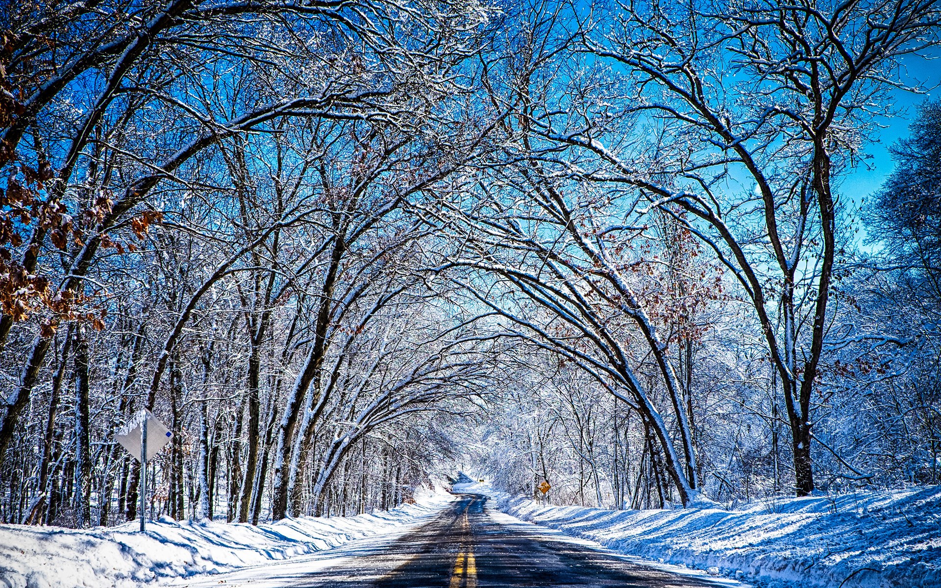 Snow-covered road through a winter forest HD Wallpaper