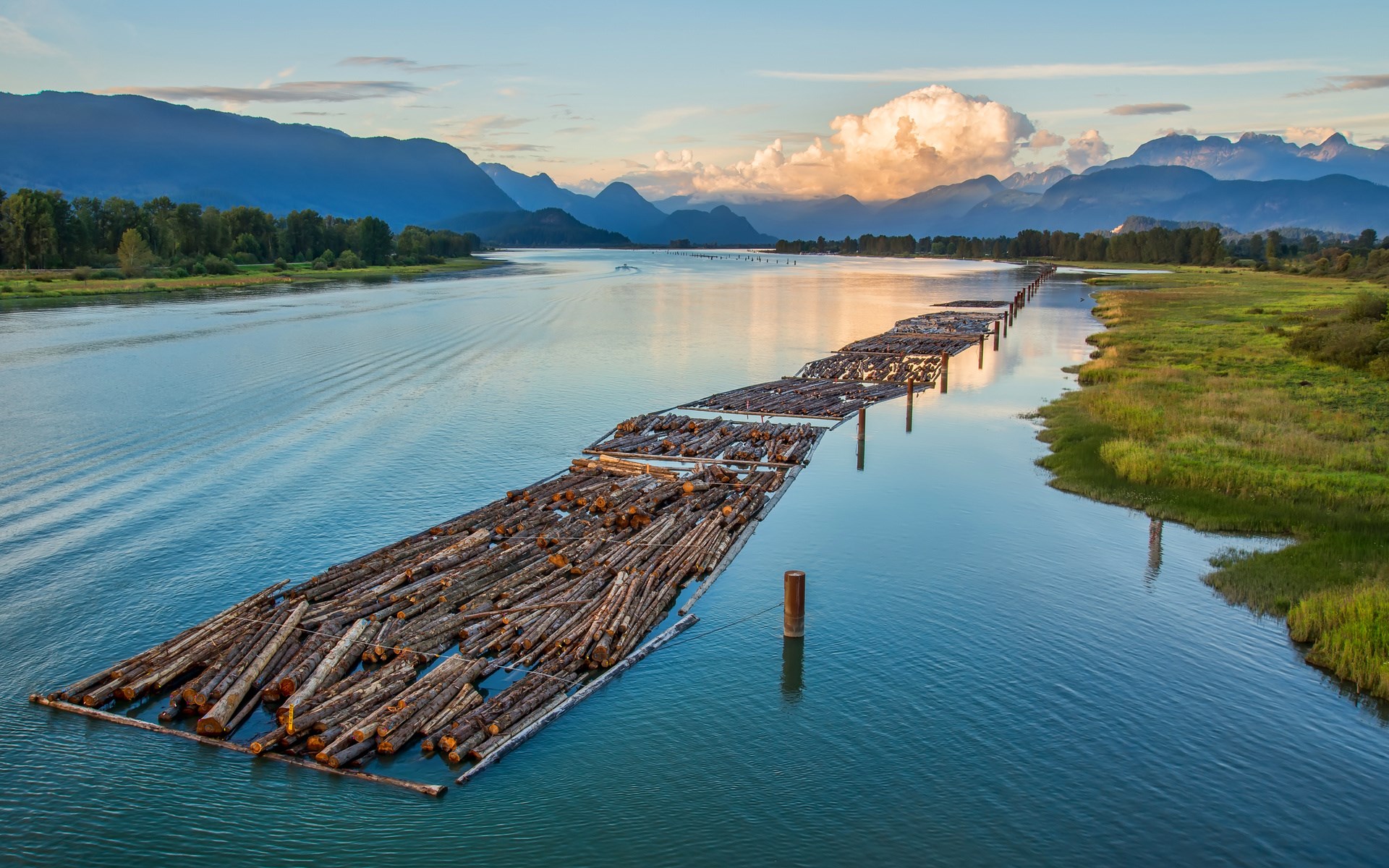 Log boom on a wide river with mountains in the background HD Wallpaper