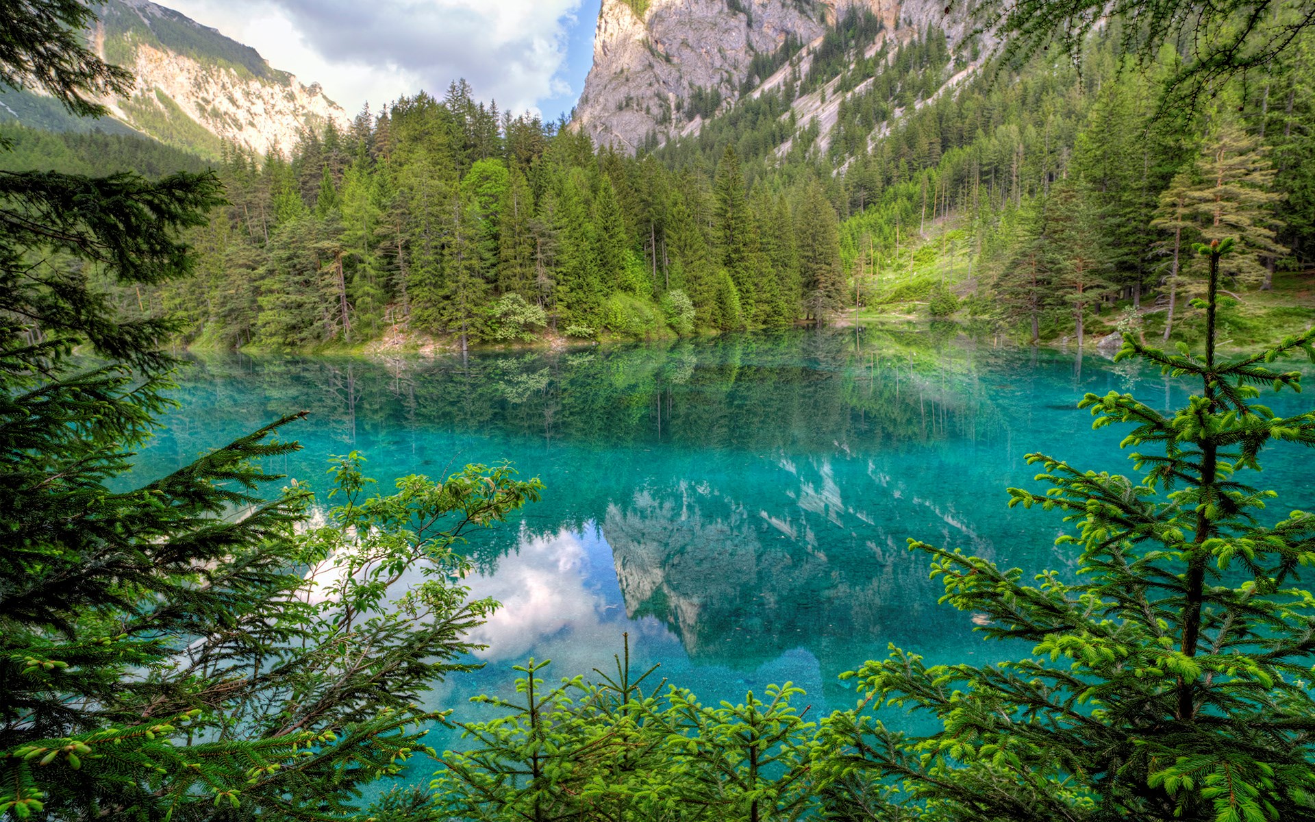 Turquoise mountain lake surrounded by pine forest HD Wallpaper