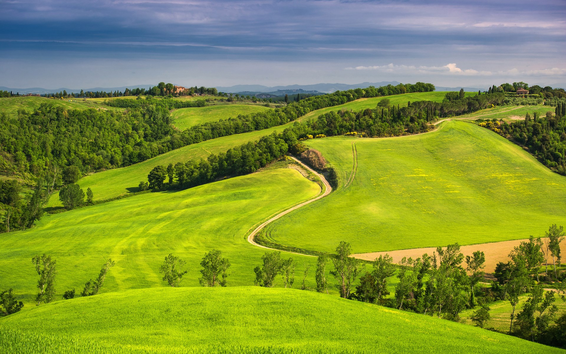 Rolling green hills with a winding dirt road HD Wallpaper