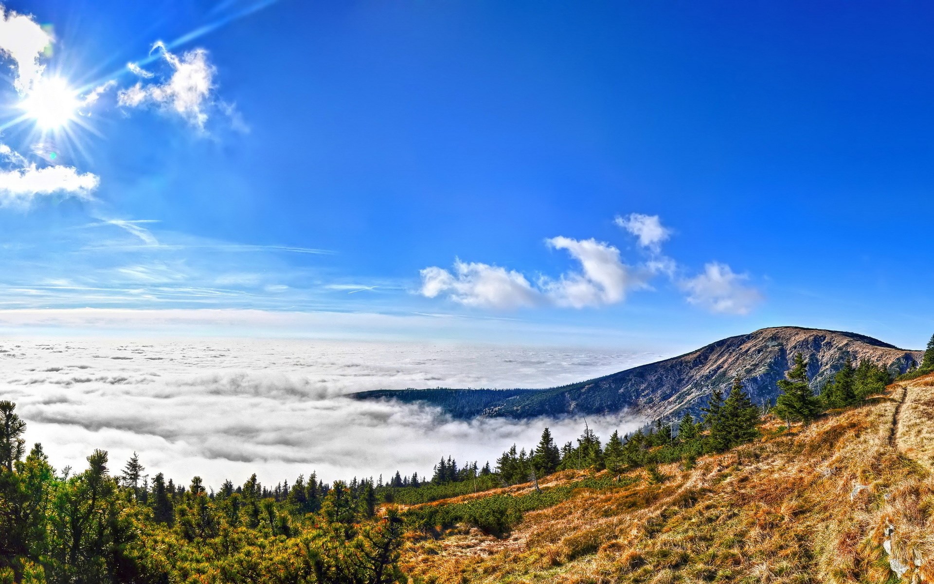 Mountain peak above clouds with sun and trees HD Wallpaper