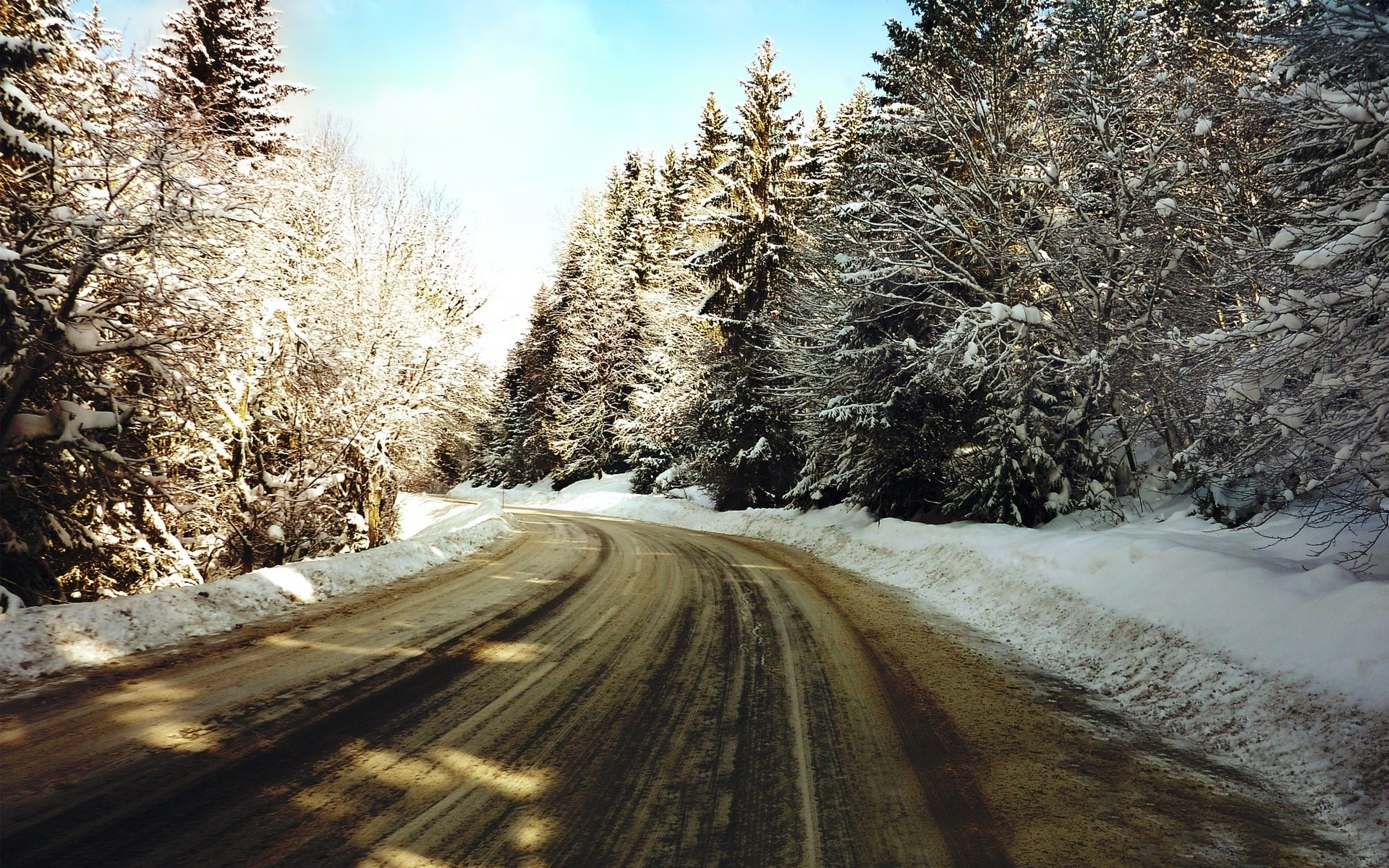 Snowy mountain road with trees HD Wallpaper