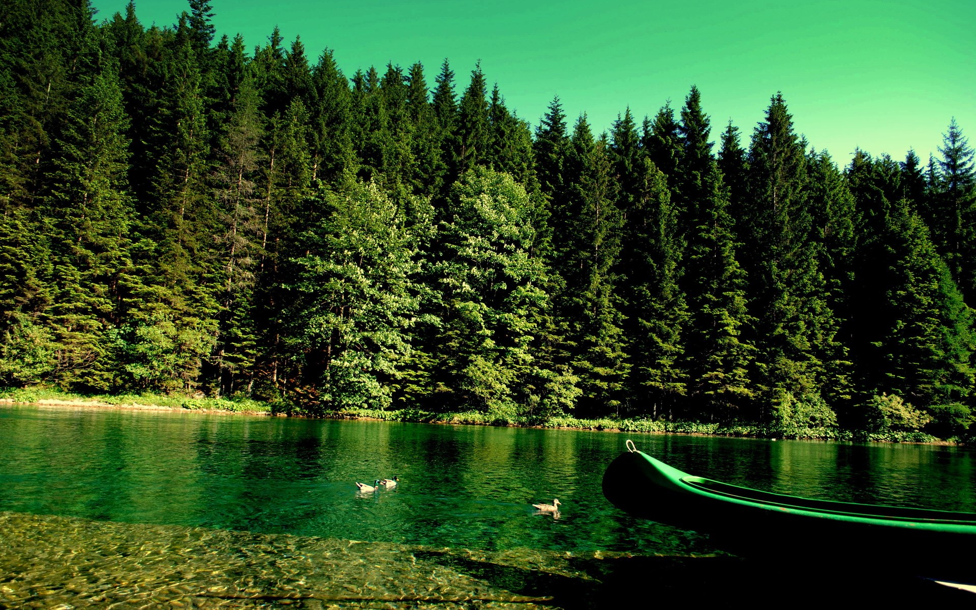 Green canoe on a lake with a forest and ducks HD Wallpaper