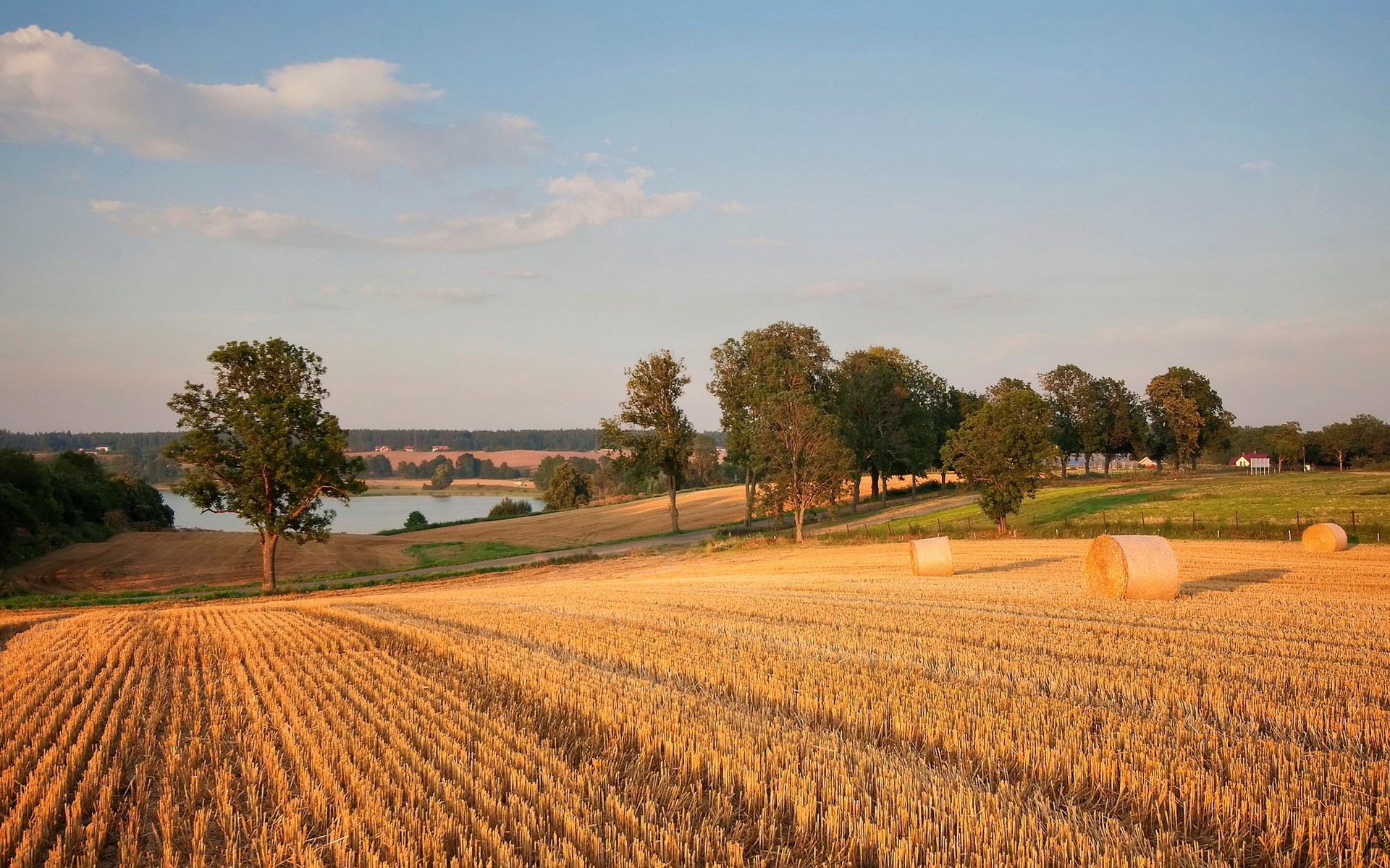 Golden wheat field with hay bales and a lake HD Wallpaper