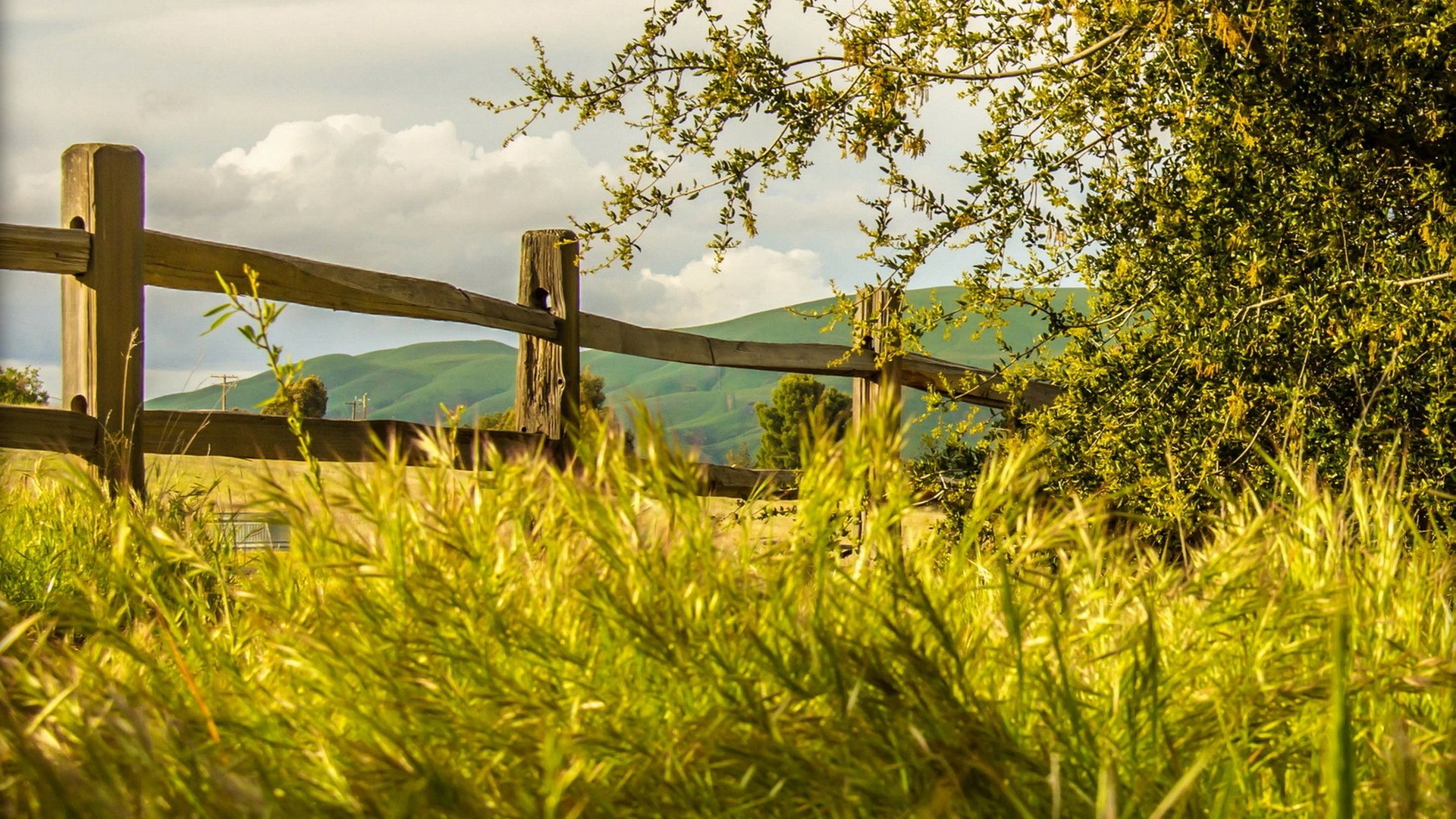 Wooden fence in a field with rolling hills HD Wallpaper