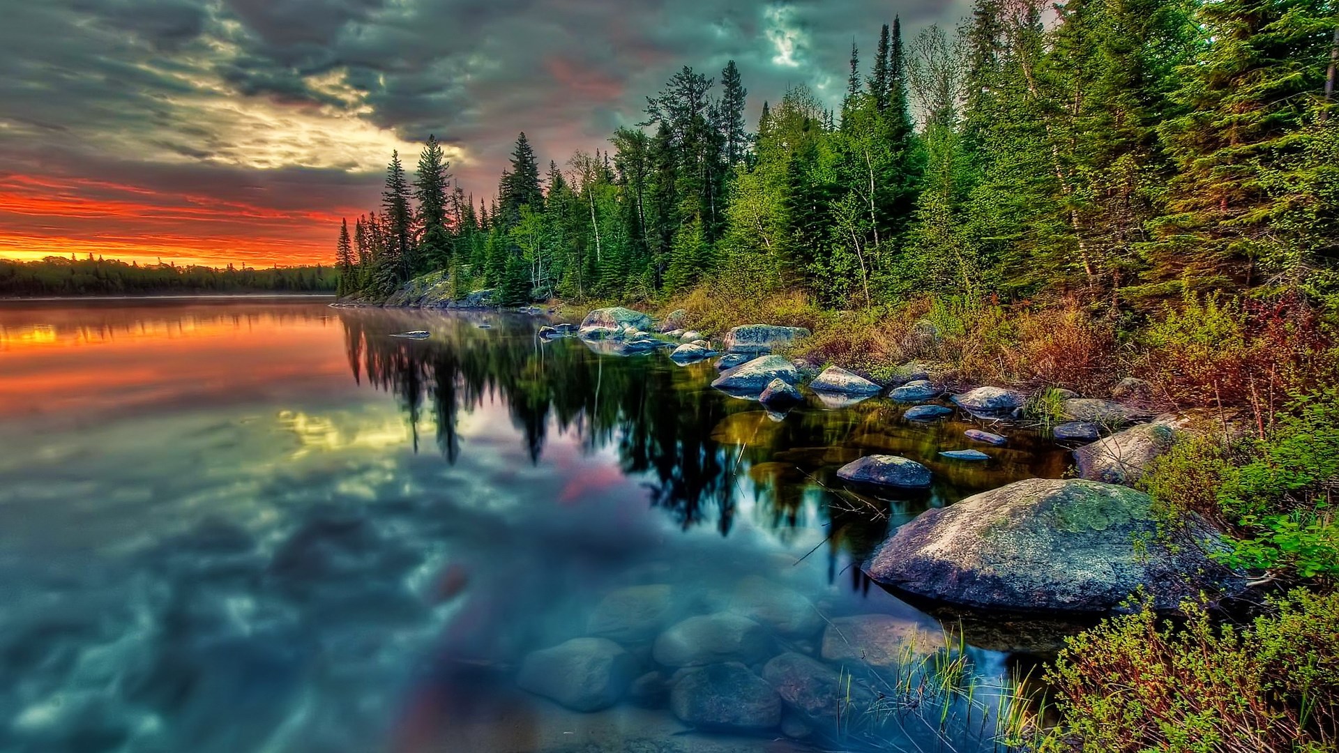 Sunset over a forest lake with reflections HD Wallpaper