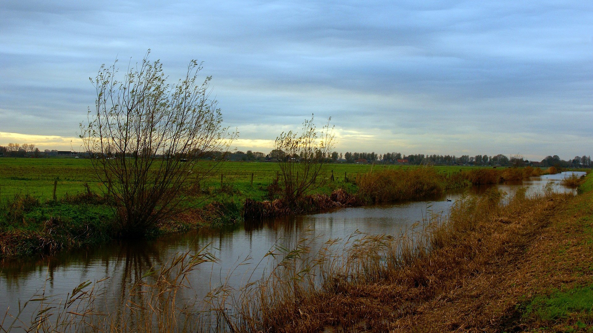 Canal with trees and fields under cloudy sky HD Wallpaper