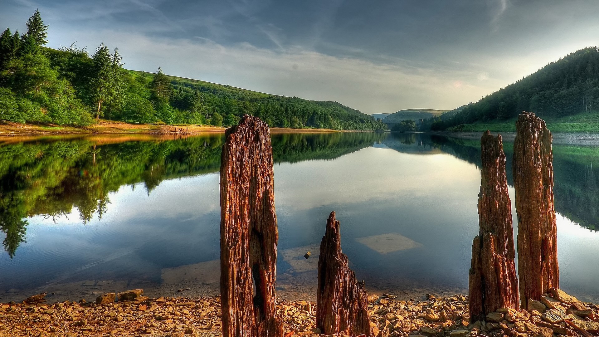 Wooden posts in a lake with forested hills HD Wallpaper
